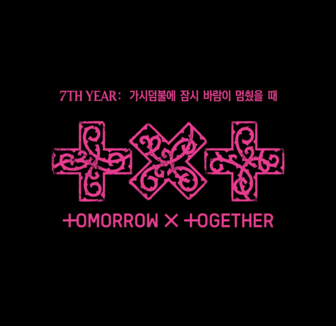 TXT ~ 7TH YEAR : A Moment of Stillness in the Thorns