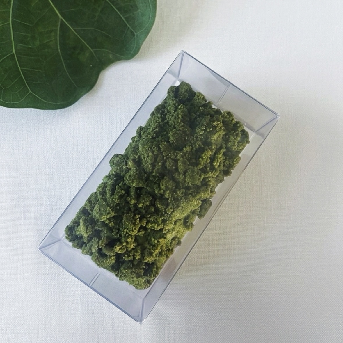 🌿 苔石｜龍膽奶酥磅蛋糕