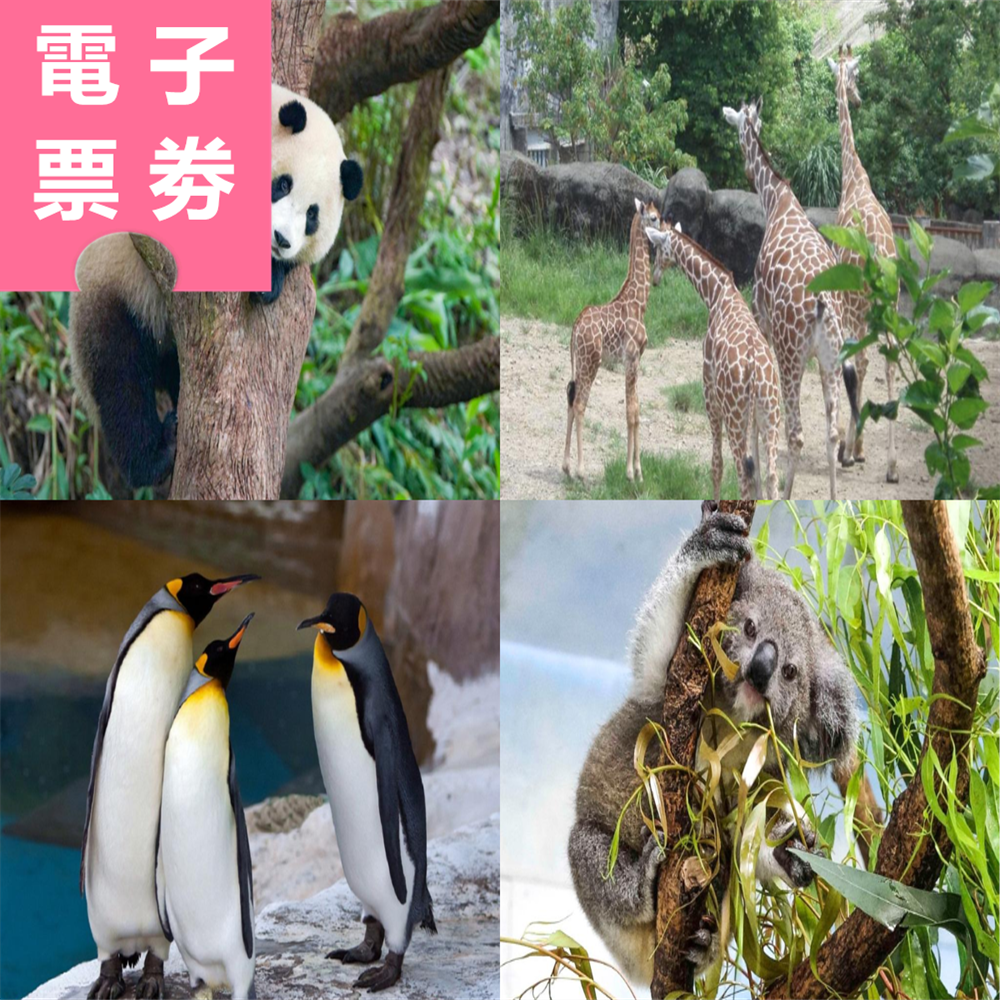 【電子票劵】台北木柵一日遊：貓空纜車+臺北市立動物園，送動物園遊園車(單趟) Ⓕ