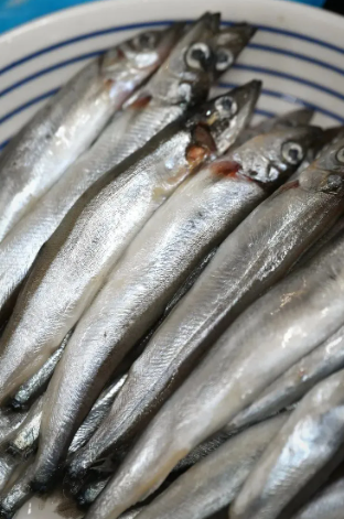 挪威多春魚 (8-10條) 150g (急凍)