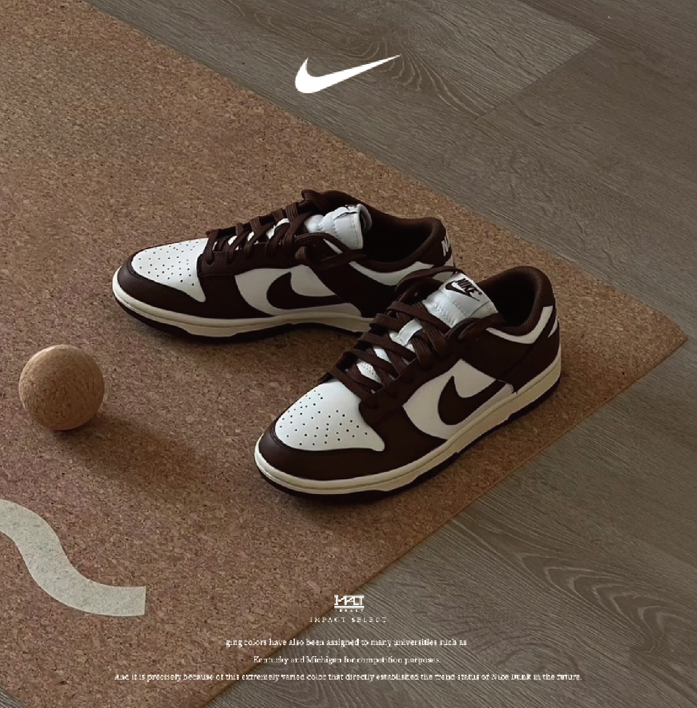 Nike Dunk Low 美拉德 巧克力 麂皮 FQ8249-104