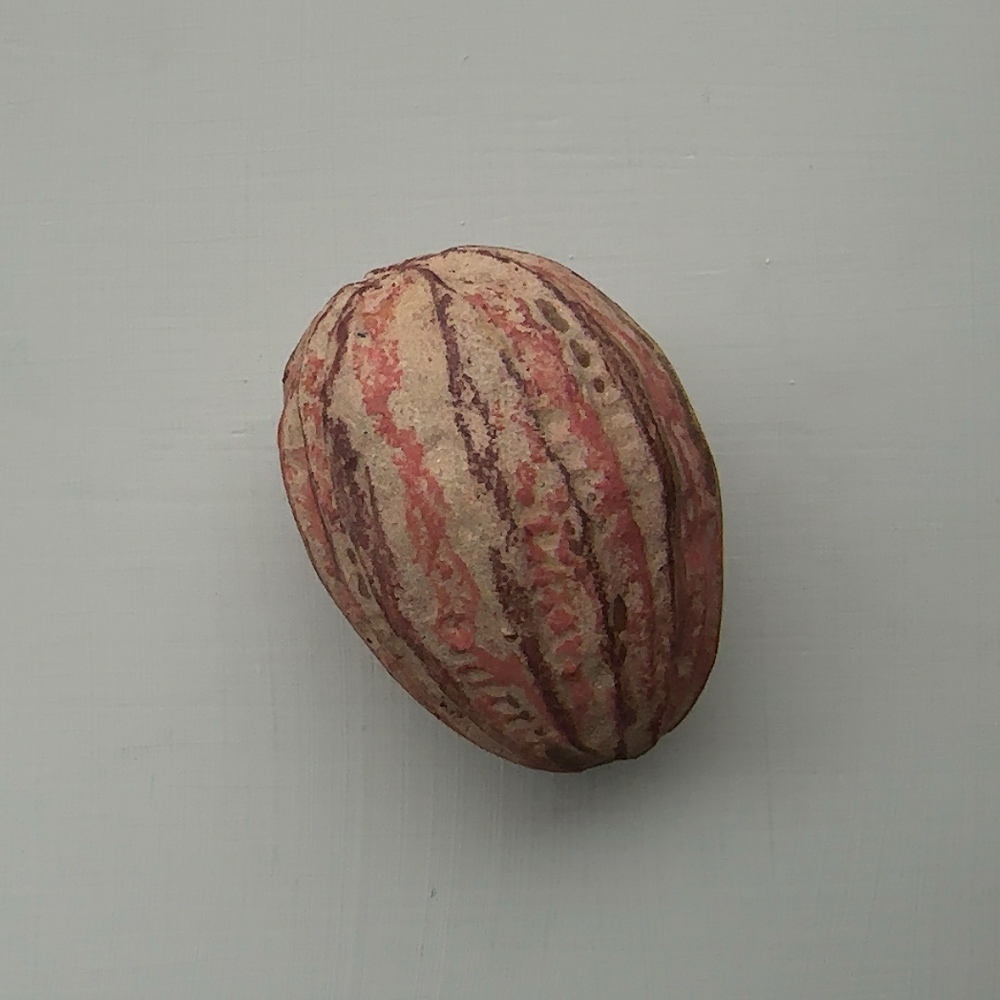 所盛之所｜米口 · 陶  器物創作展｜籽 2