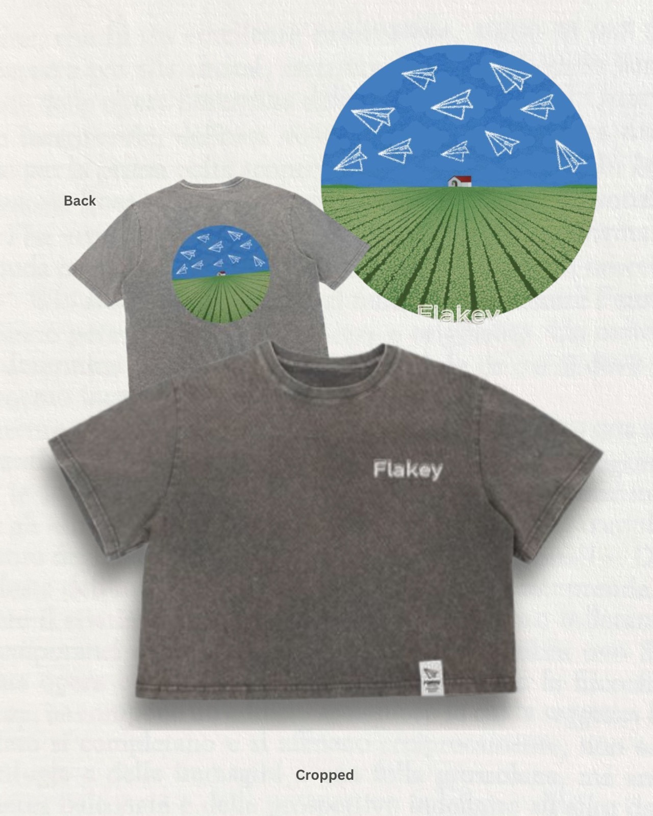 “How good is your vision?" Crop Tee