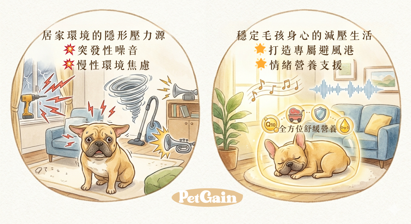 如何消除狗狗壓力? 優先排除家中的環境壓力源