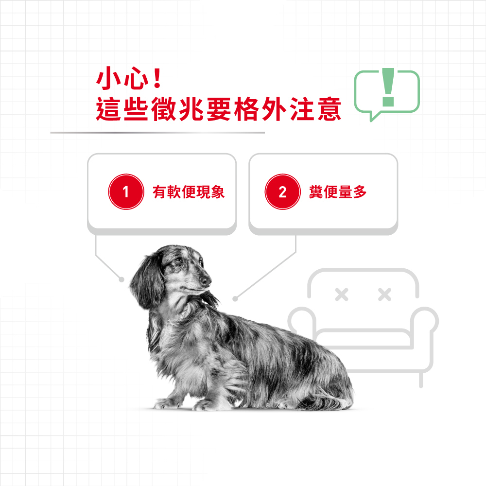 Royal Canin法國皇家腸胃保健小型成犬DGMN