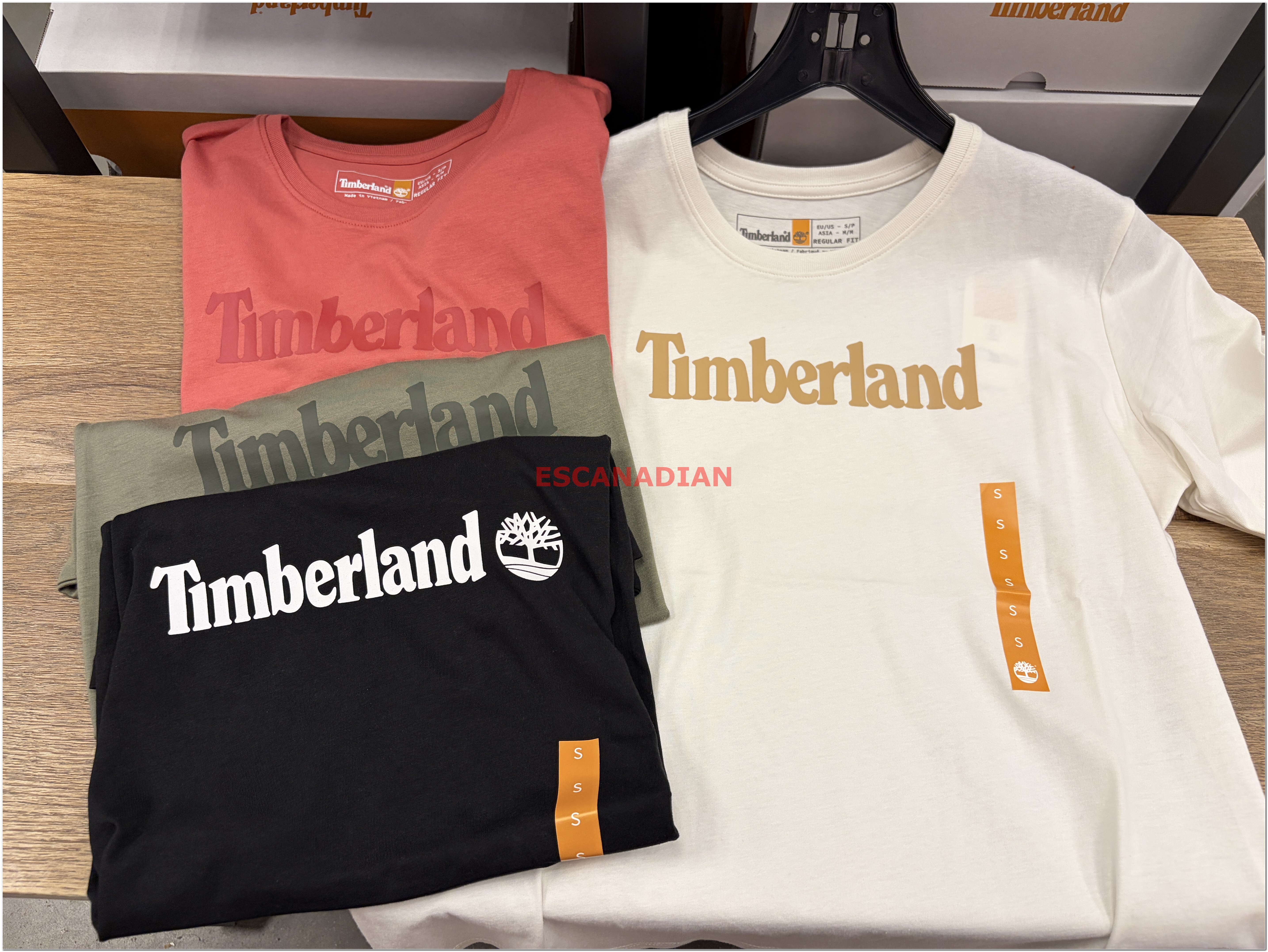 【限時】Timberland 女大人 經典字樣 短TEE (4色)
