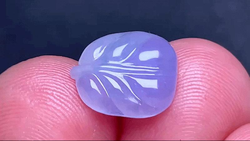 329413 翡翠冰紫樹葉