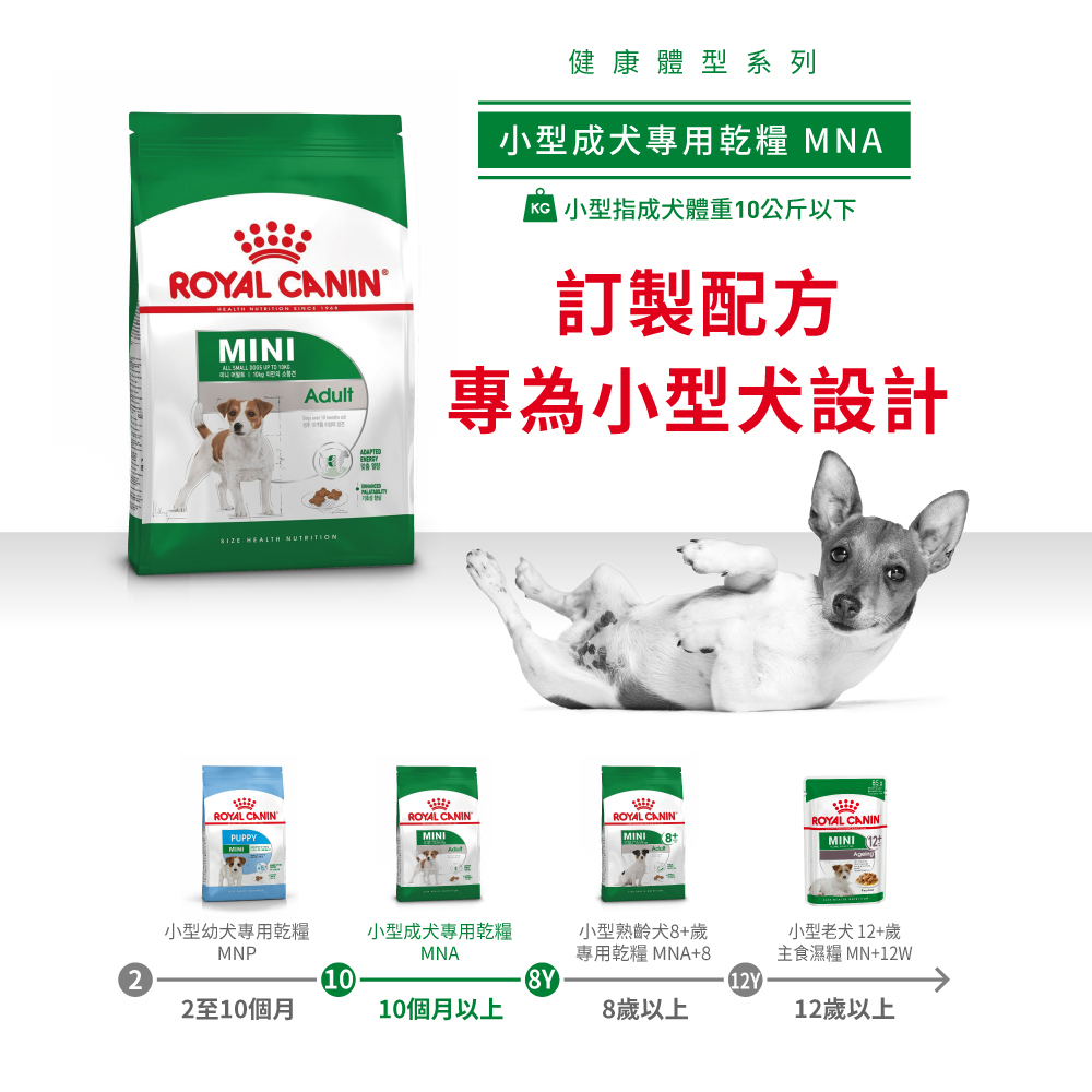 Royal Canin法國皇家 皇家小型成犬MNA