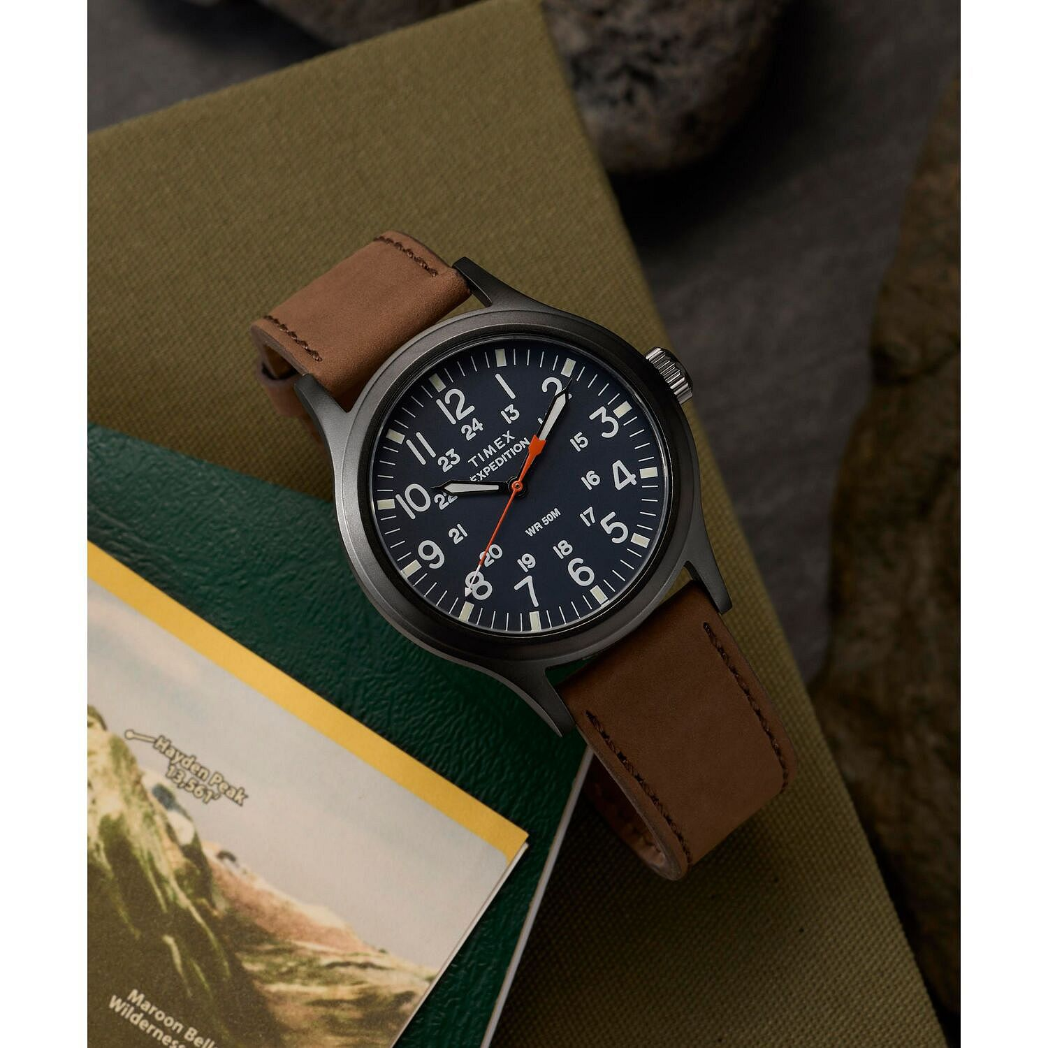 萬年鐘錶 - TIMEX 天美時 Expedition Scout  休閒探險家皮革錶帶男錶 TW2Y63100 錶徑40MM