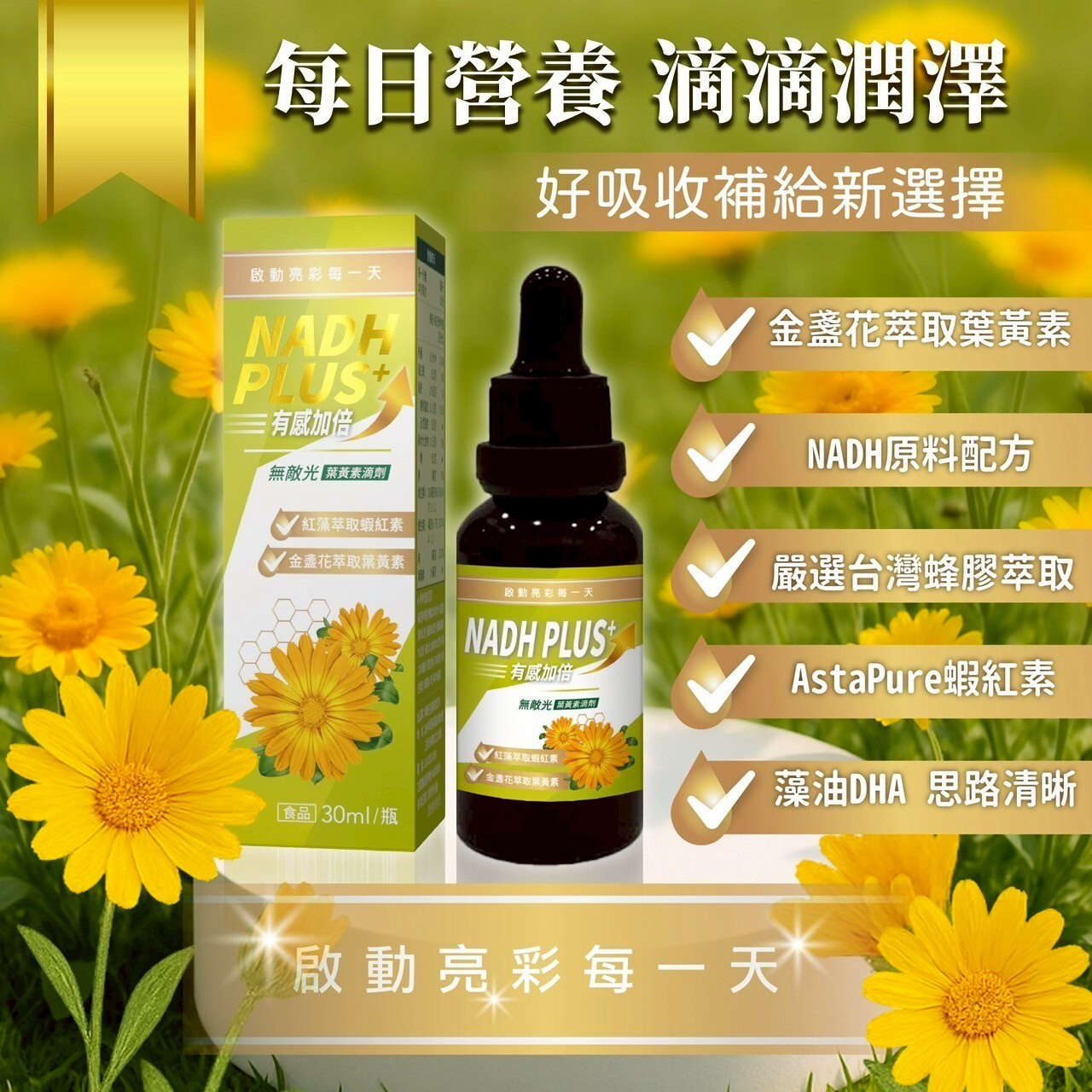 NADH葉黃素滴劑