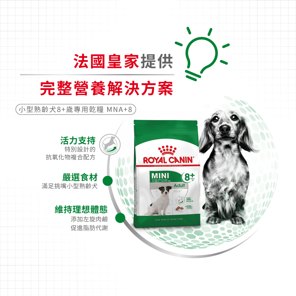 Royal Canin法國皇家 皇家小型熟齡犬8+歲齡MNA+8