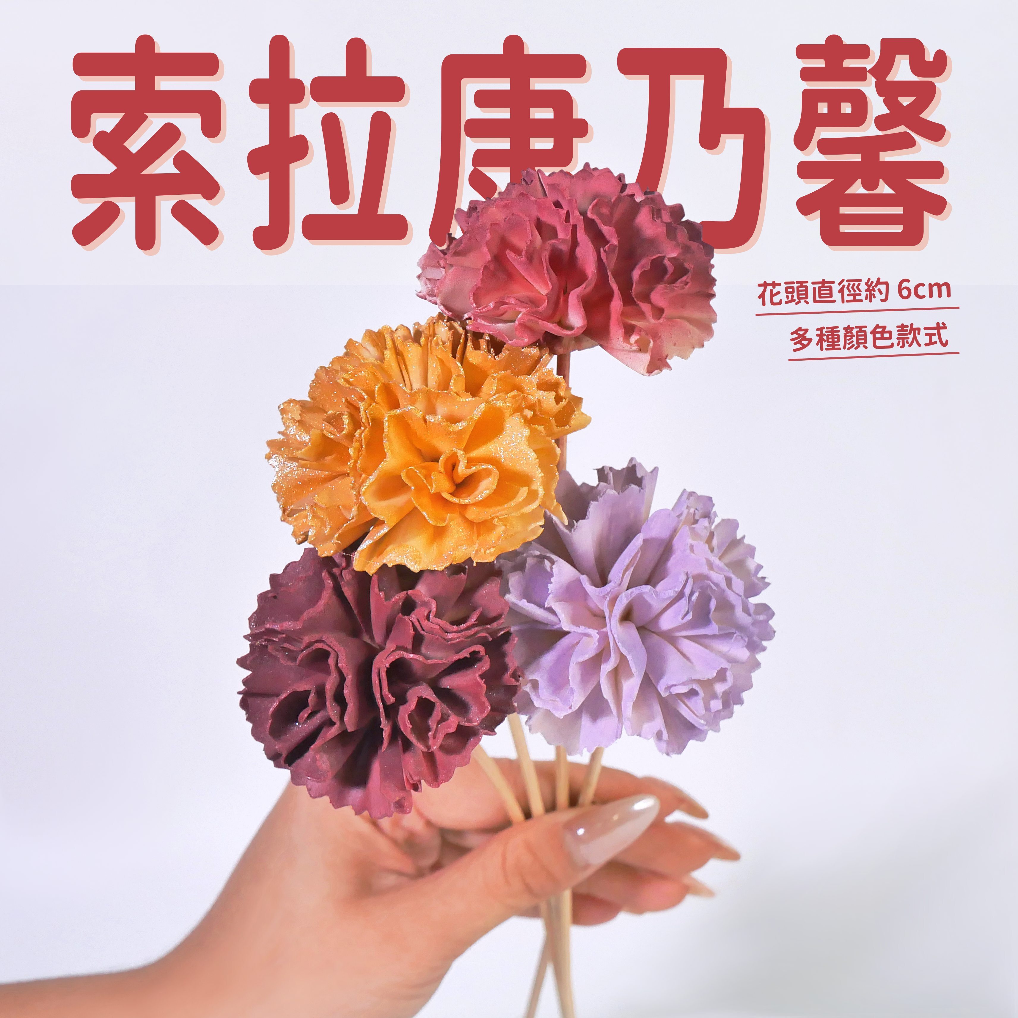 【台灣現貨速發】索拉乾花 康乃馨 通草花 擴香花｜多色 面寬6-6.5公分