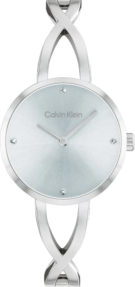 萬年鐘錶 - Calvin Klein   CK  優雅質感手環感女錶  CK25100058  錶徑28MM