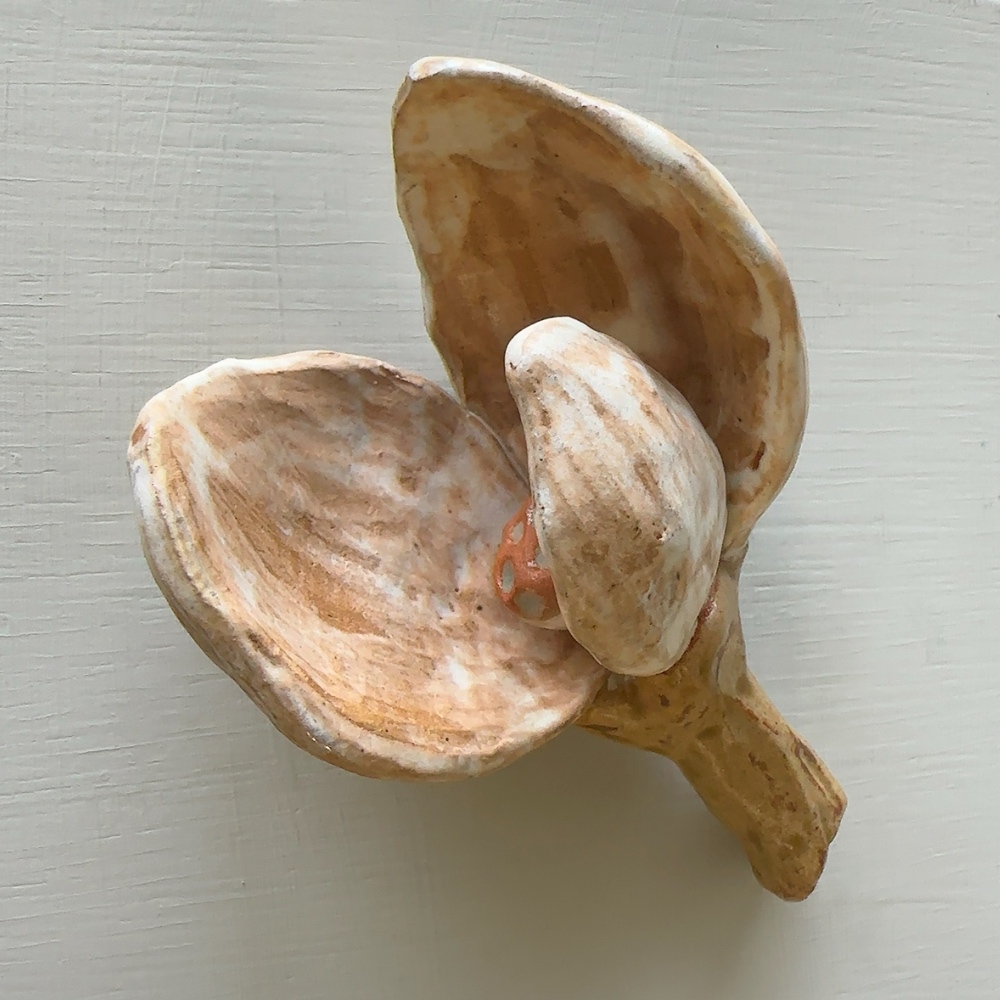 所盛之所｜米口 · 陶  器物創作展｜籽 20