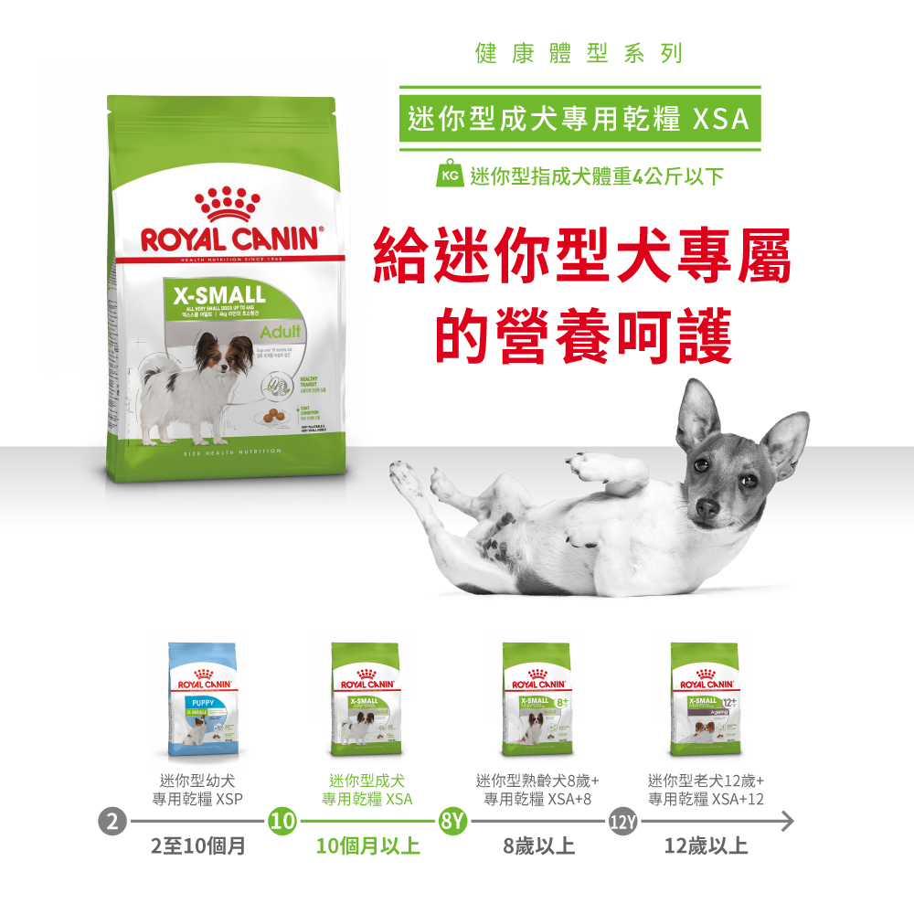Royal Canin法國皇家 超小型成犬XSA