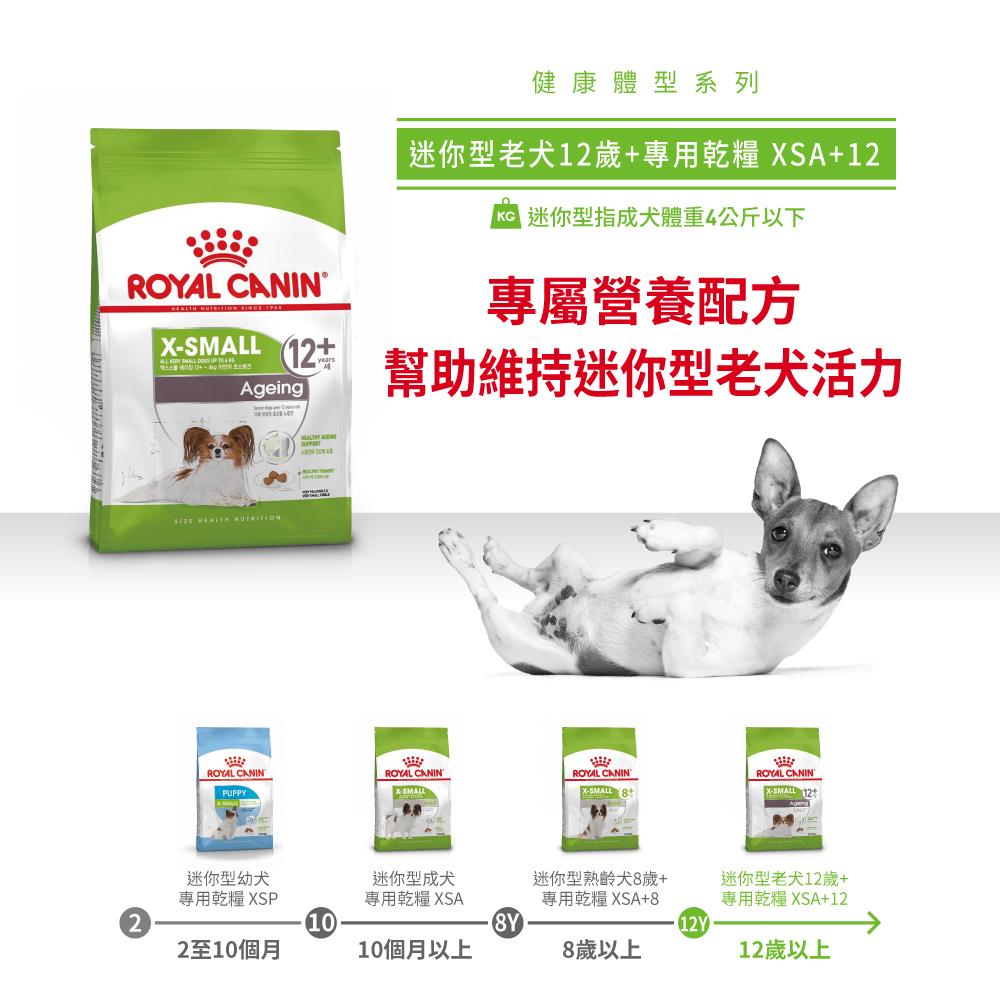 Royal Canin法國皇家 超小型老犬12+XSA+12