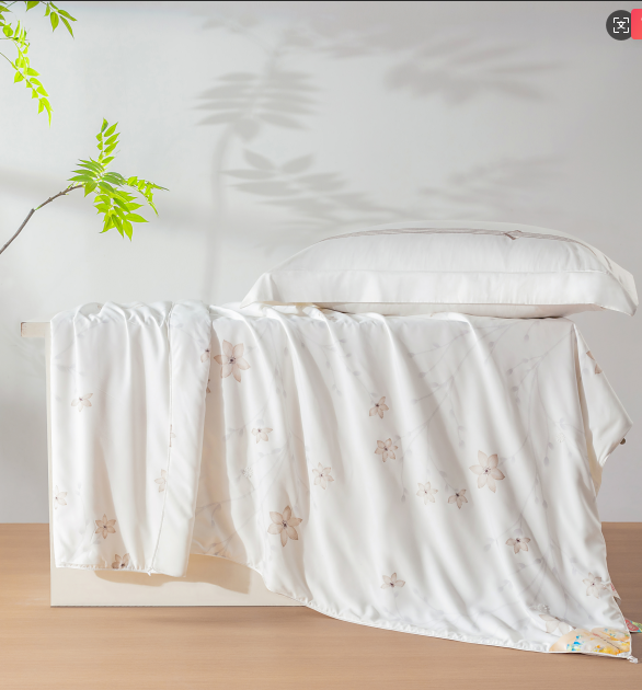 (E) 「錢皇」100%雙宮桑桑蠶絲被 (200*230cm)- 錢皇 #2204QW