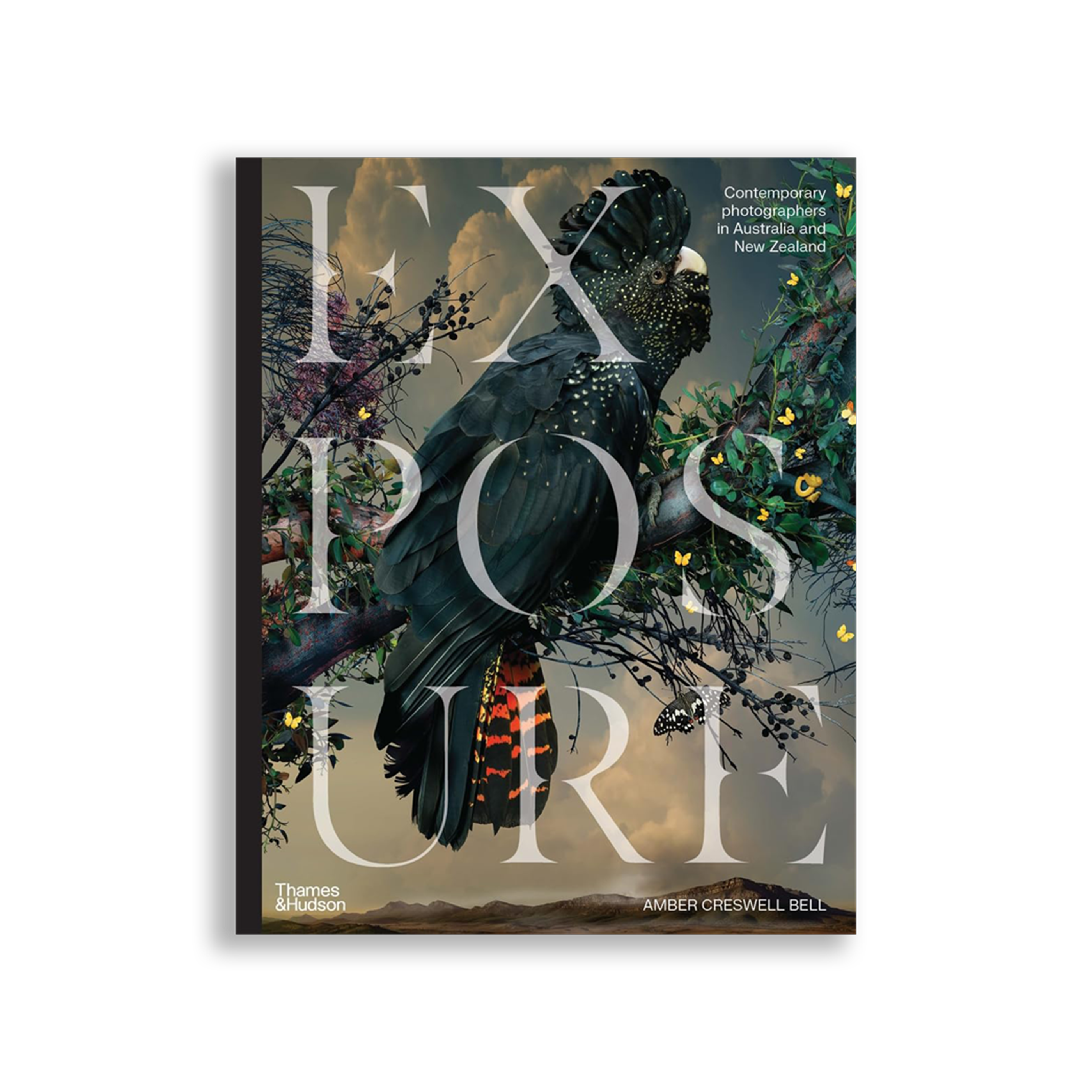 Exposure: Contemporary photographers in Australia and New Zealand