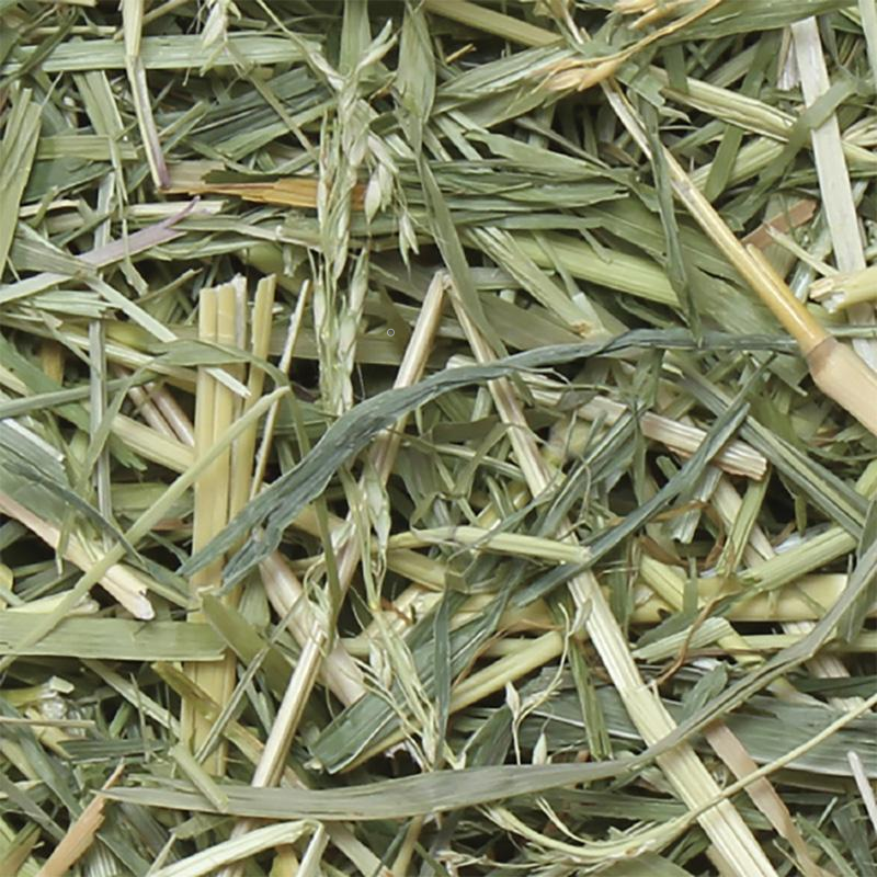 Hipet Pro 精選蘇丹草 - 480g