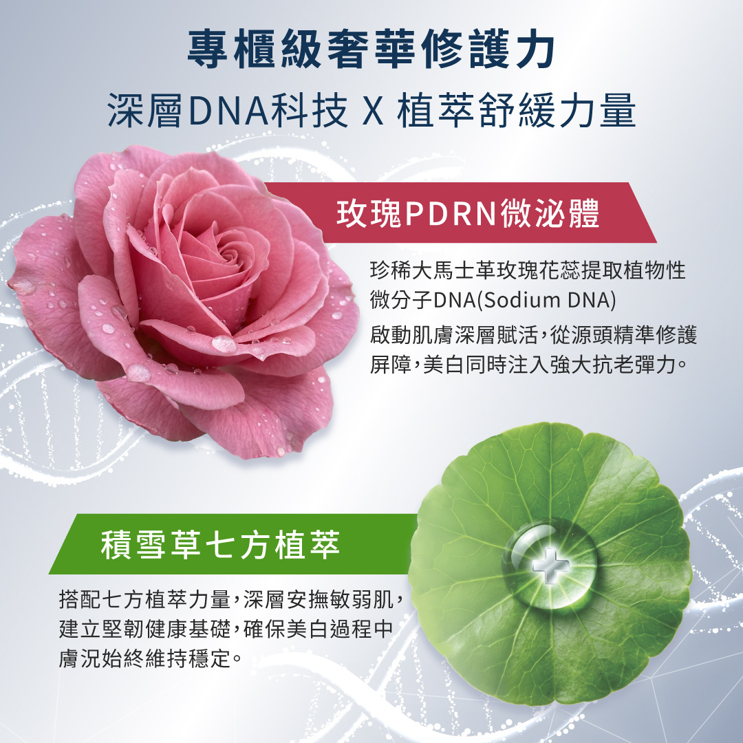 德美凱極緻C精華具備專櫃級奢華修護力，結合玫瑰PDRN微泌體深層賦活抗老，與積雪草七方植萃安撫敏弱肌，穩固健康屏障