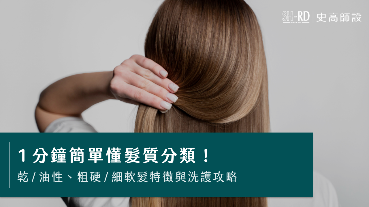 1分鐘簡單懂髮質分類！乾／油性、粗硬／細軟髮特徵與洗護攻略
