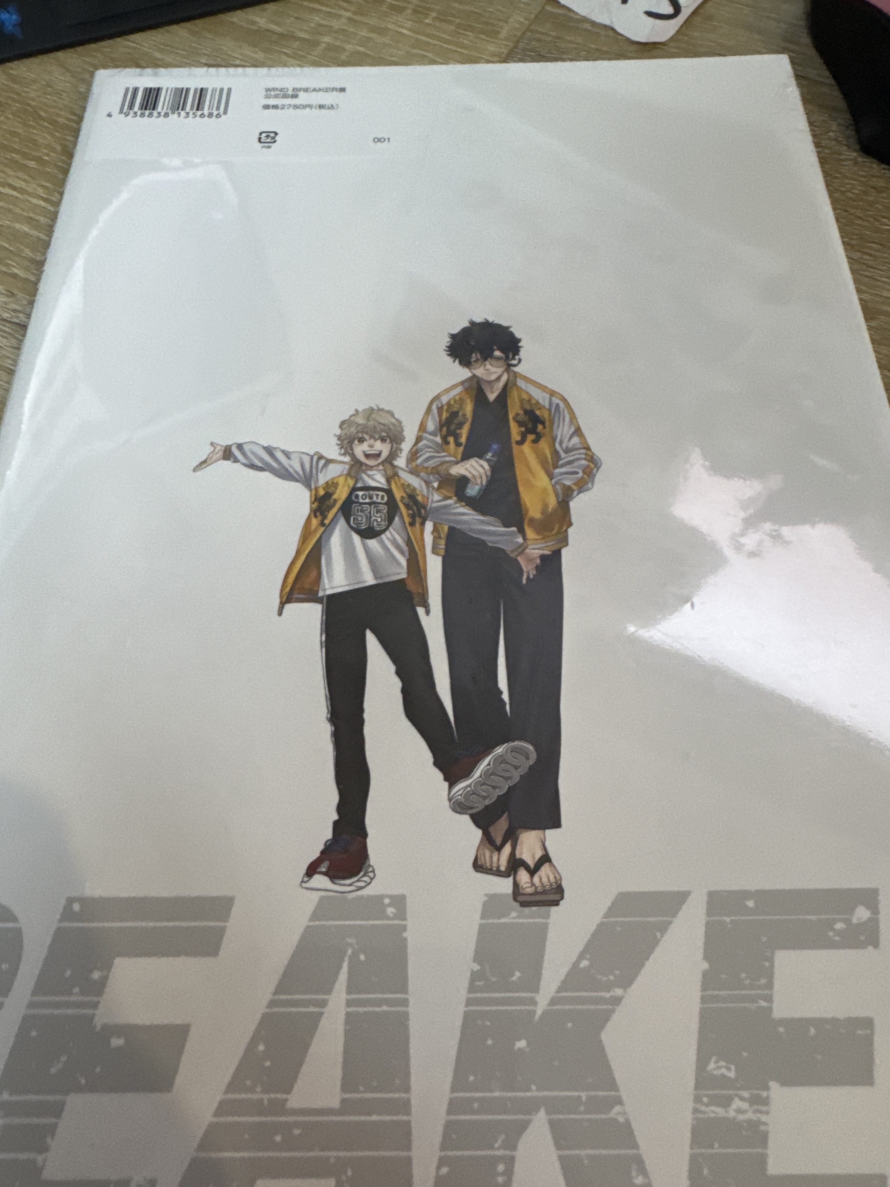 WIND BREAKER 公式書#373