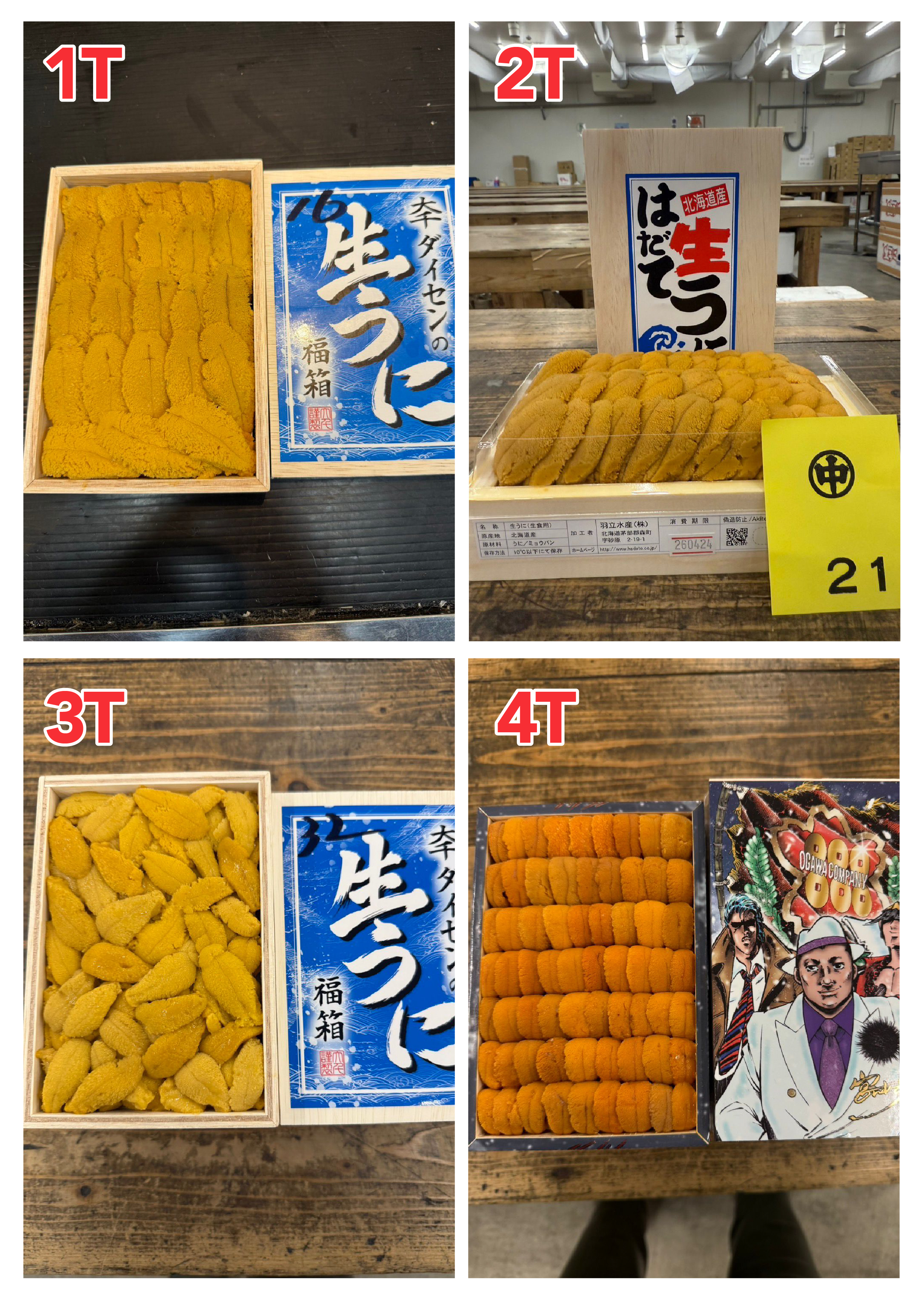 【指定海膽推薦】每天更新 (限即日落單, 翌日送)