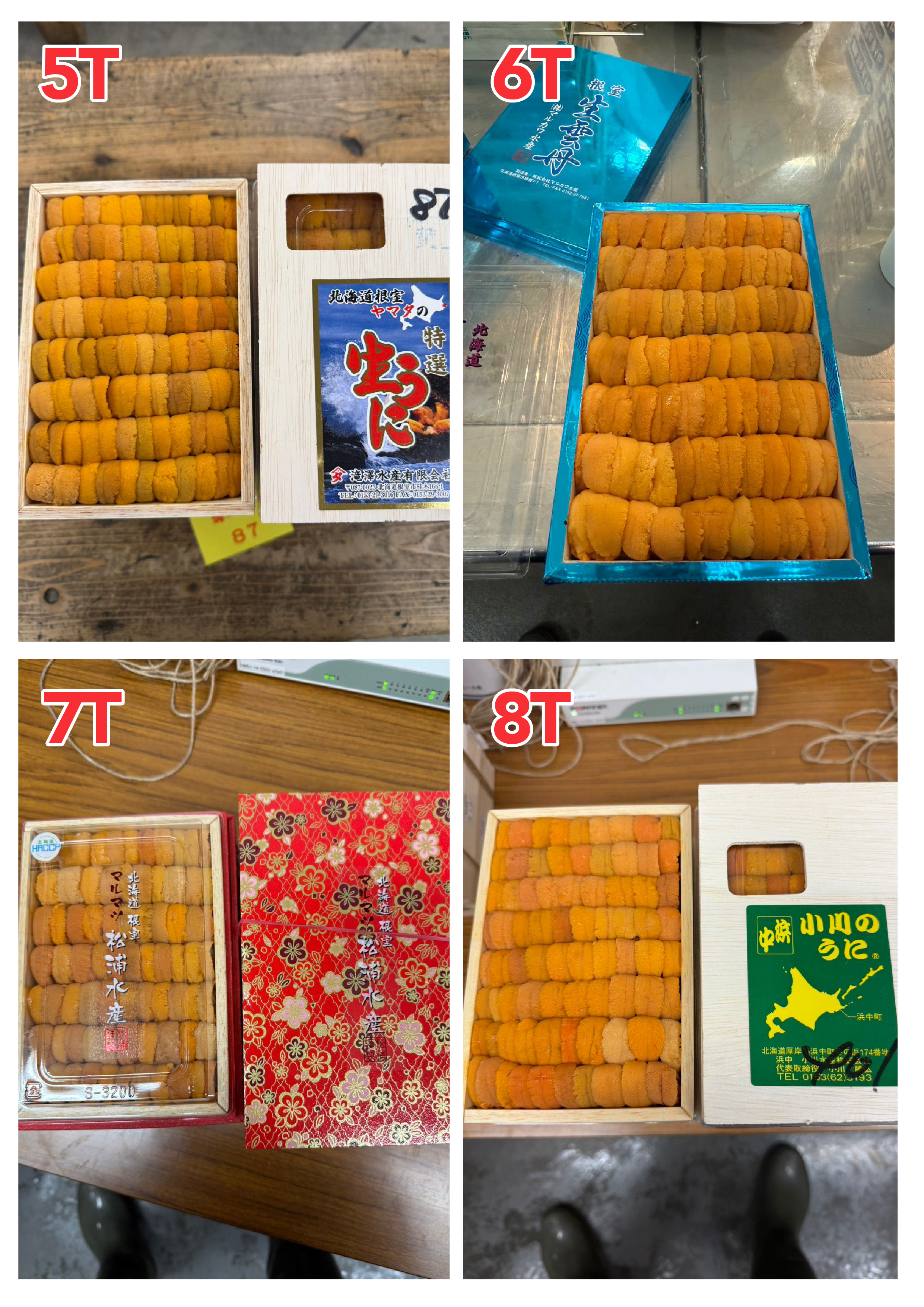 【指定海膽推薦】每天更新 (限即日落單, 翌日送)