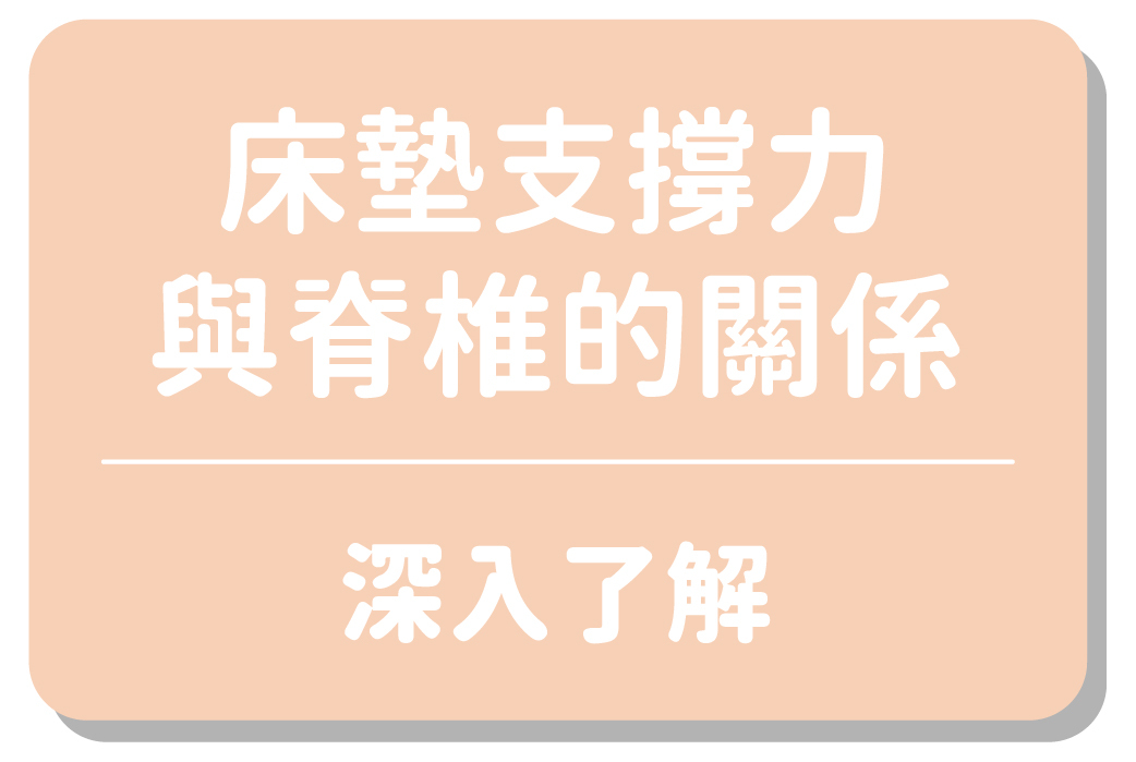 床墊支撐力與脊椎的關係｜深入了解