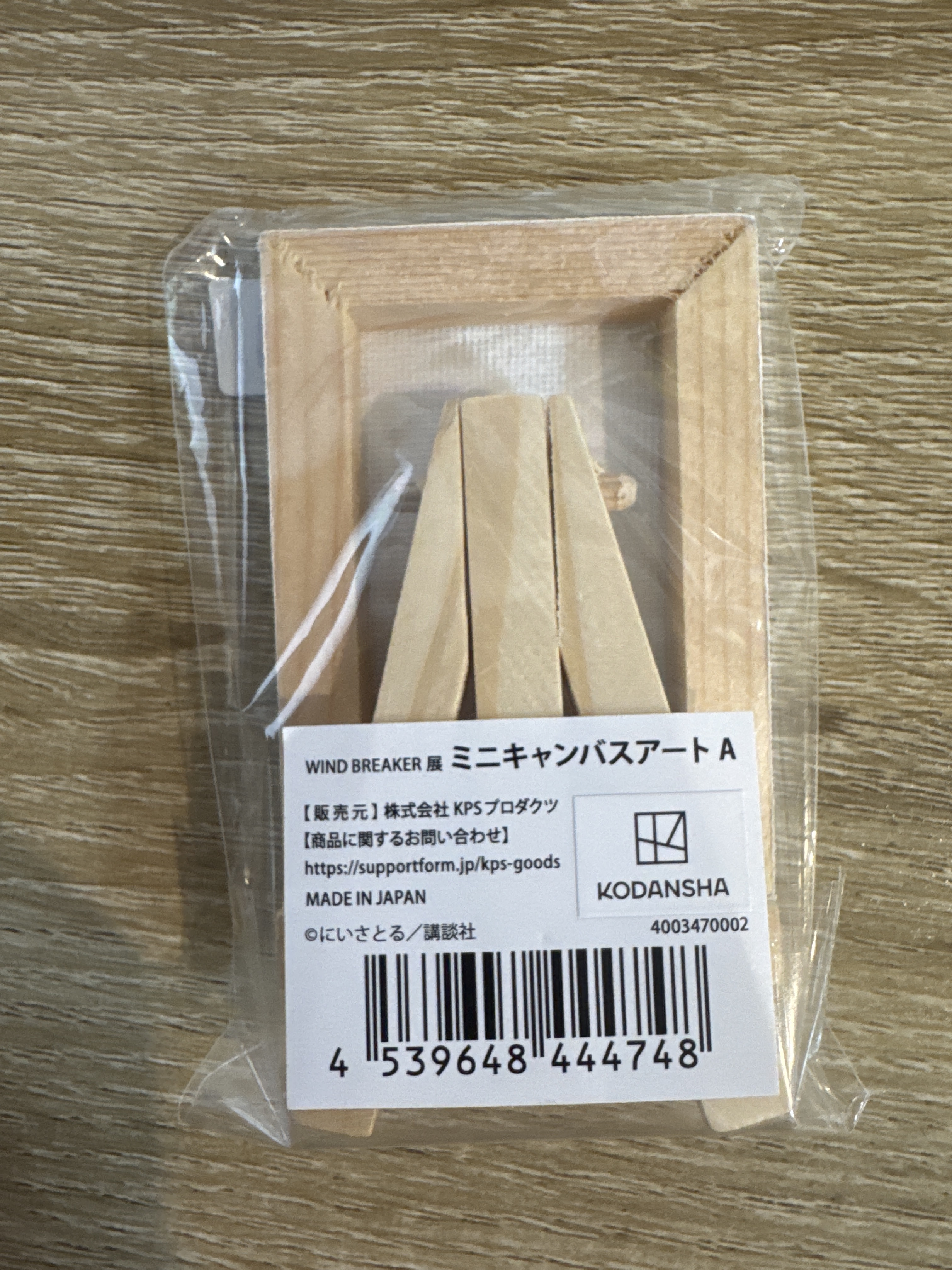 WIND BREAKER  櫻遙 畫板#373