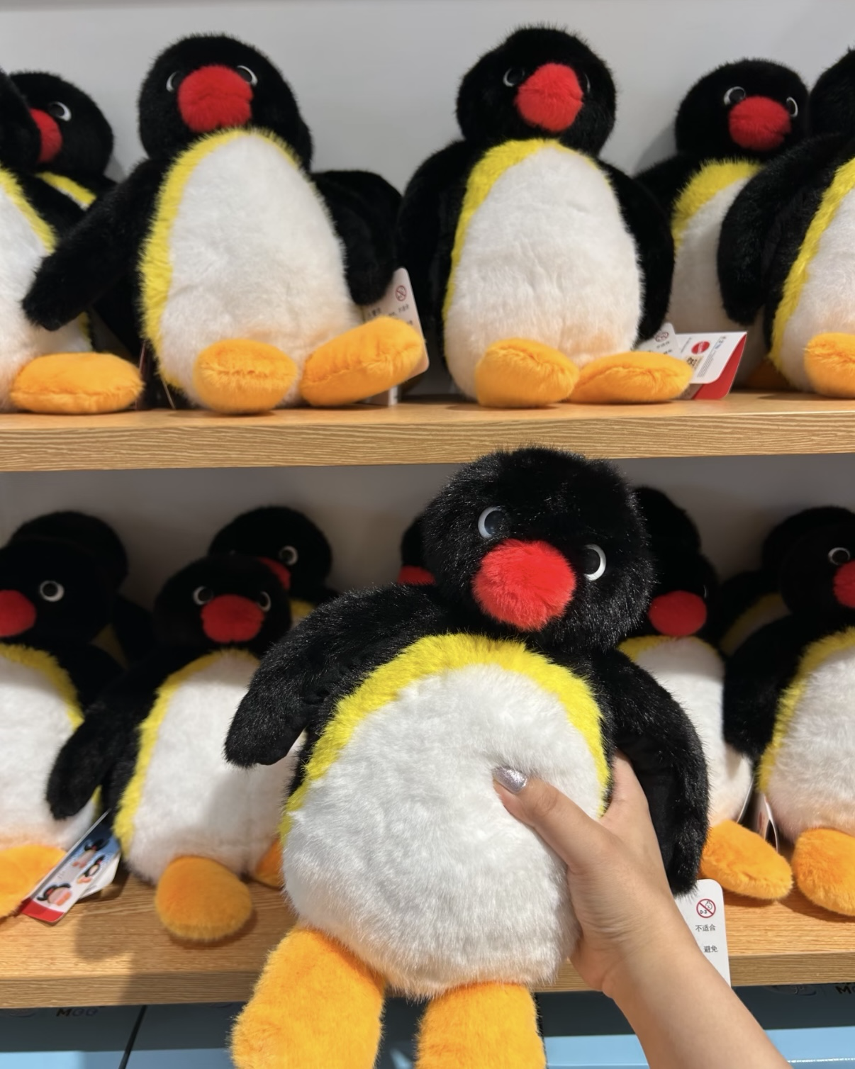 <正版授權>PINGU 企鵝家族 炸毛 毛絨 娃娃 公仔