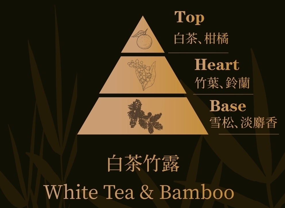 白茶竹露香調金字塔