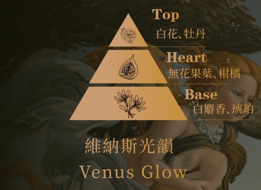 維納斯光韻香調金字塔