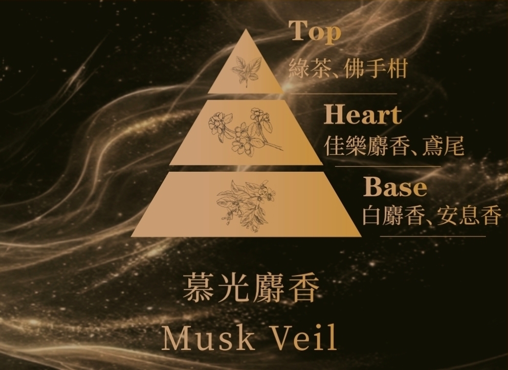 慕光麝香香調金字塔