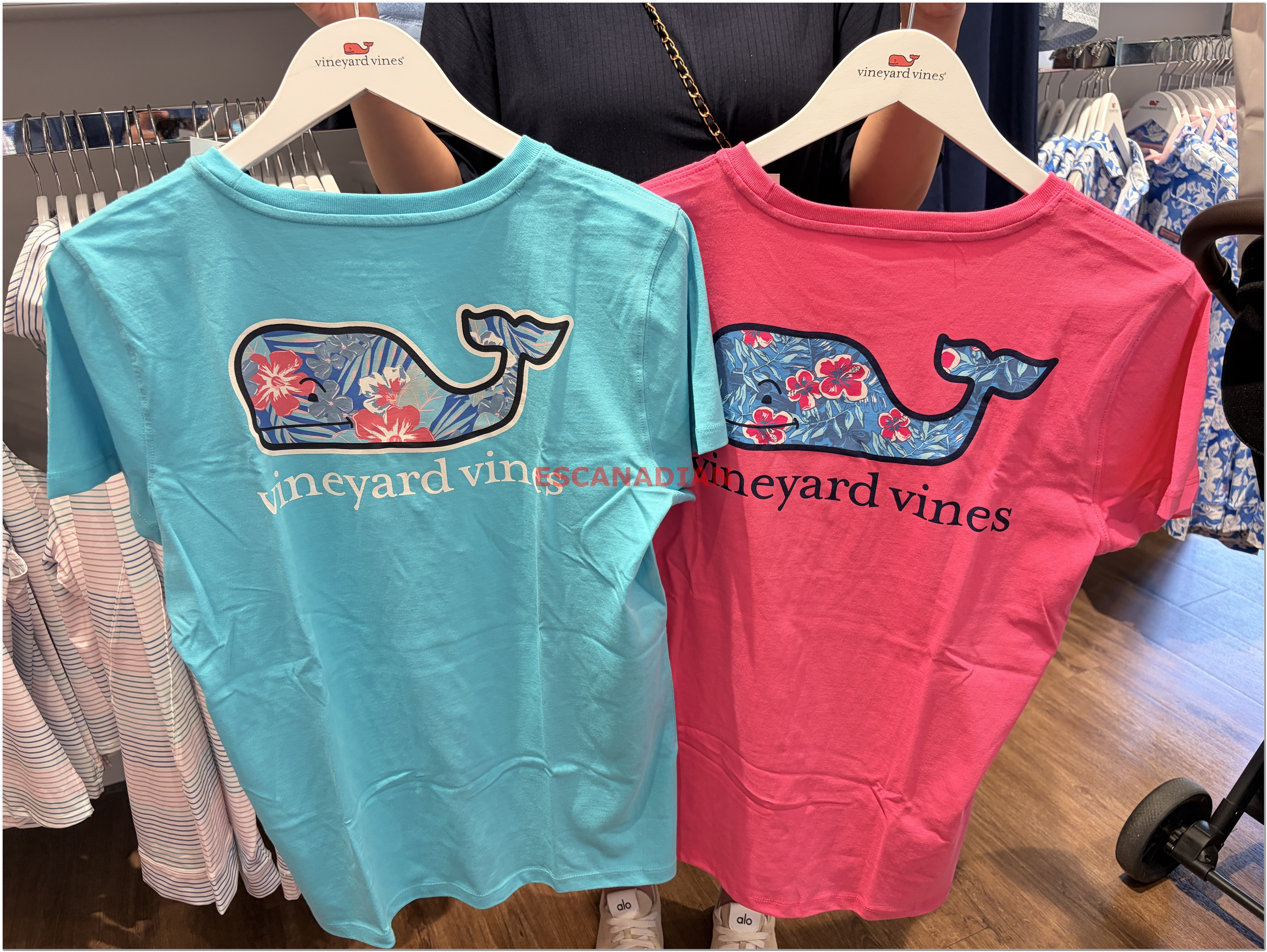 【限時】Vineyard Vines小鯨魚 女大人 正反圖 短TEE (2色)