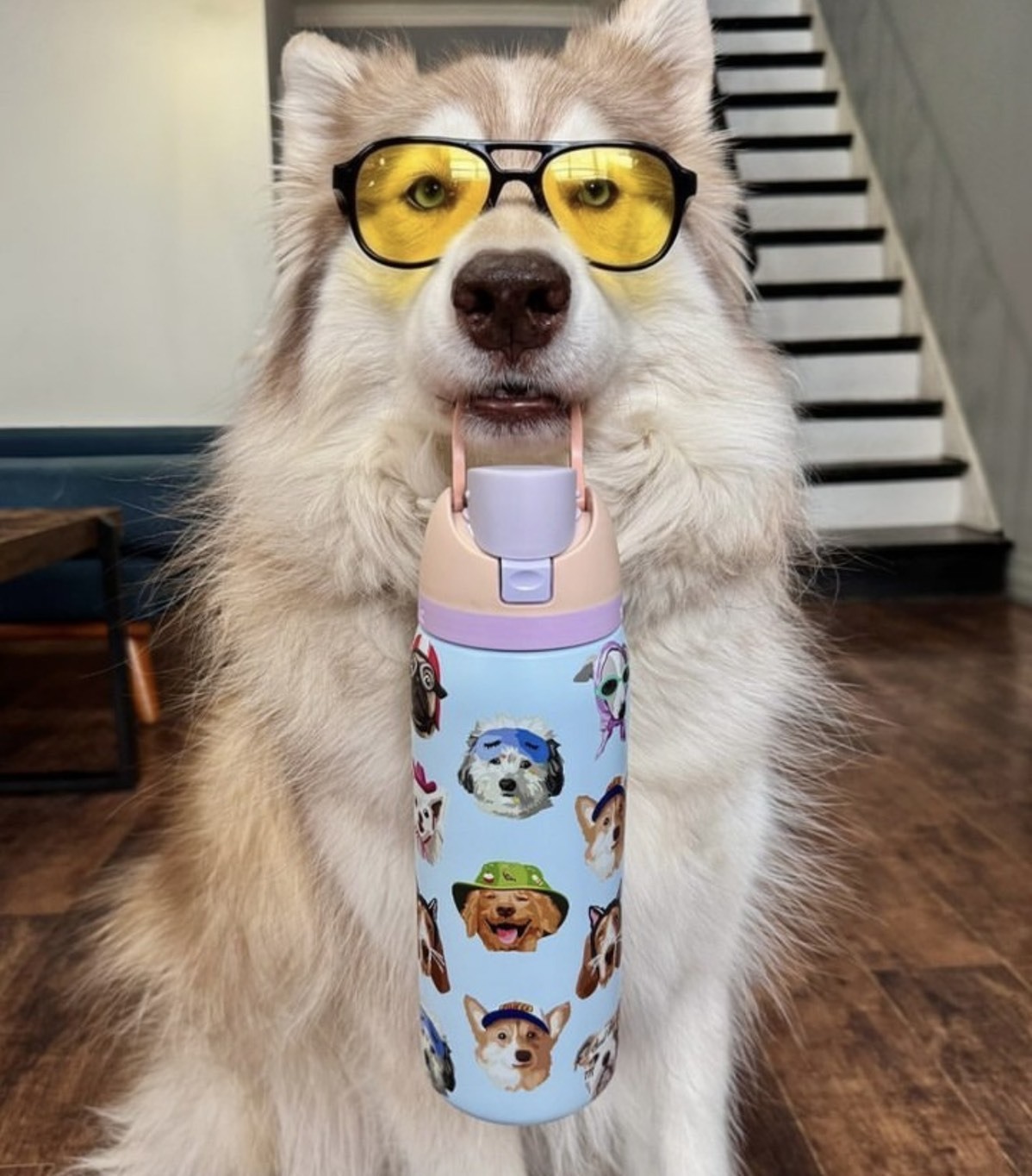 OWALA FreeSip 狗狗 滿版不鏽鋼 吸管 保溫瓶 寶寶藍 946ml