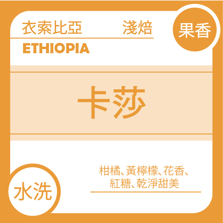 團A【衣索比亞 耶加雪菲 卡莎 水洗 G1】四月單品