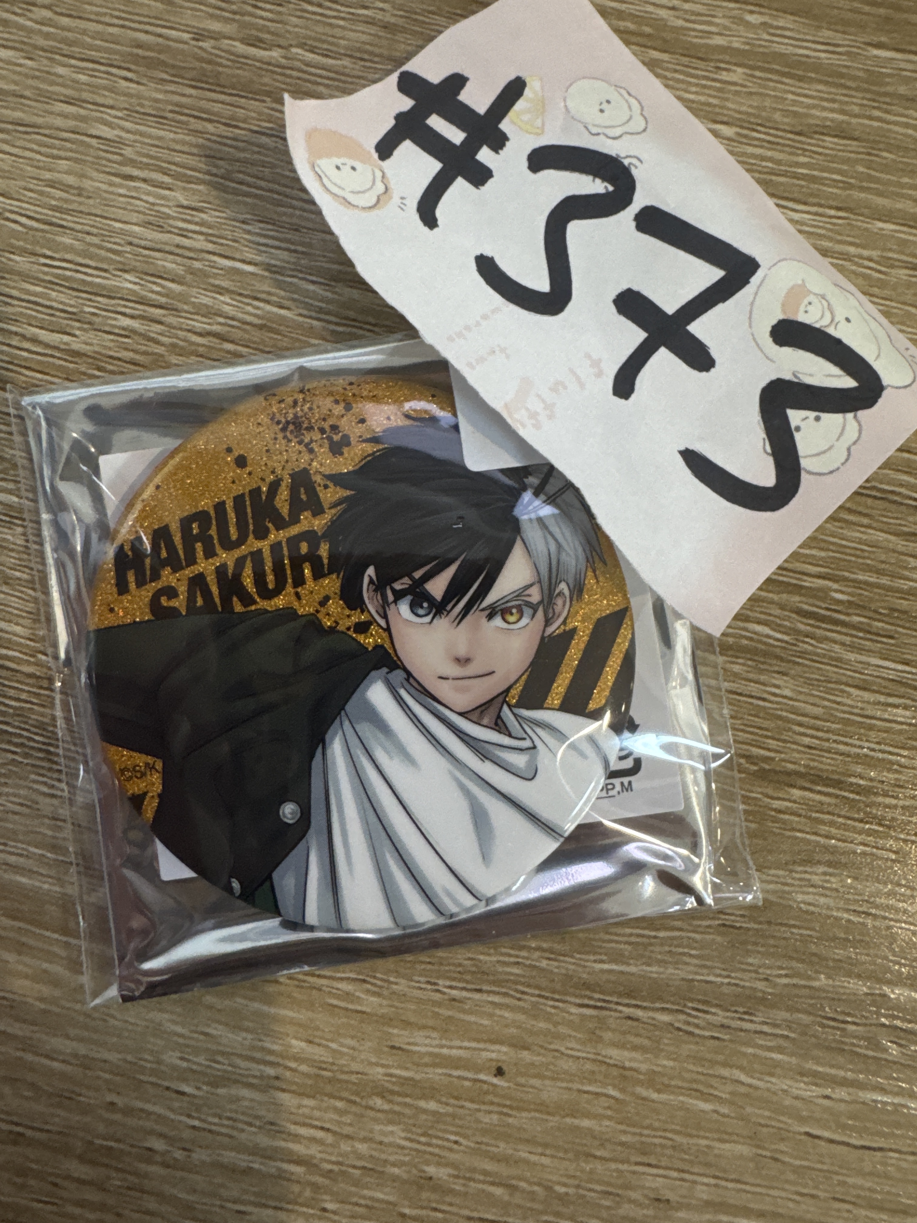 WIND BREAKER  櫻遙  襟章#373