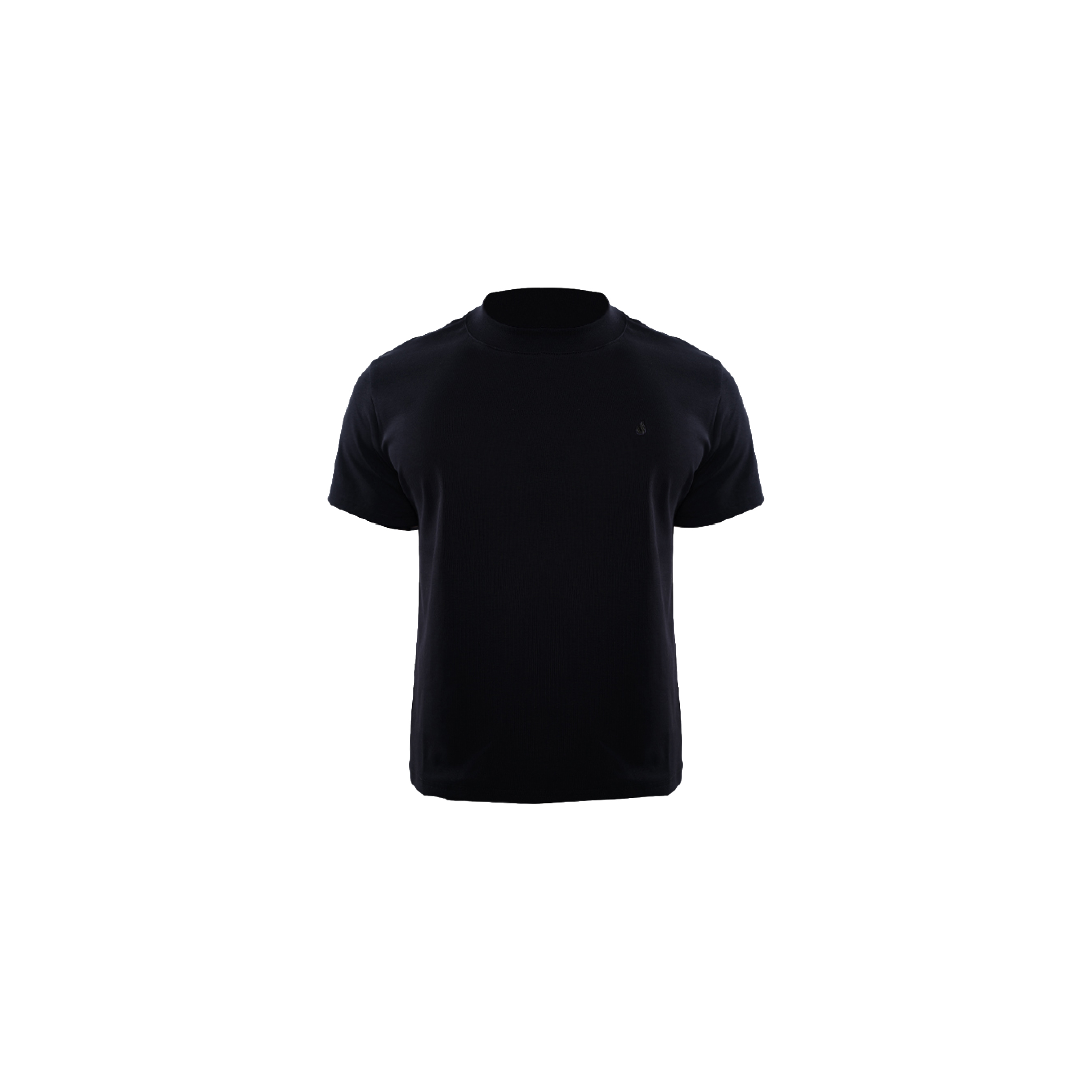 Jobdatashee D37 Black Slim Fit Short Sleeve 刺繡Logo 短T 短袖