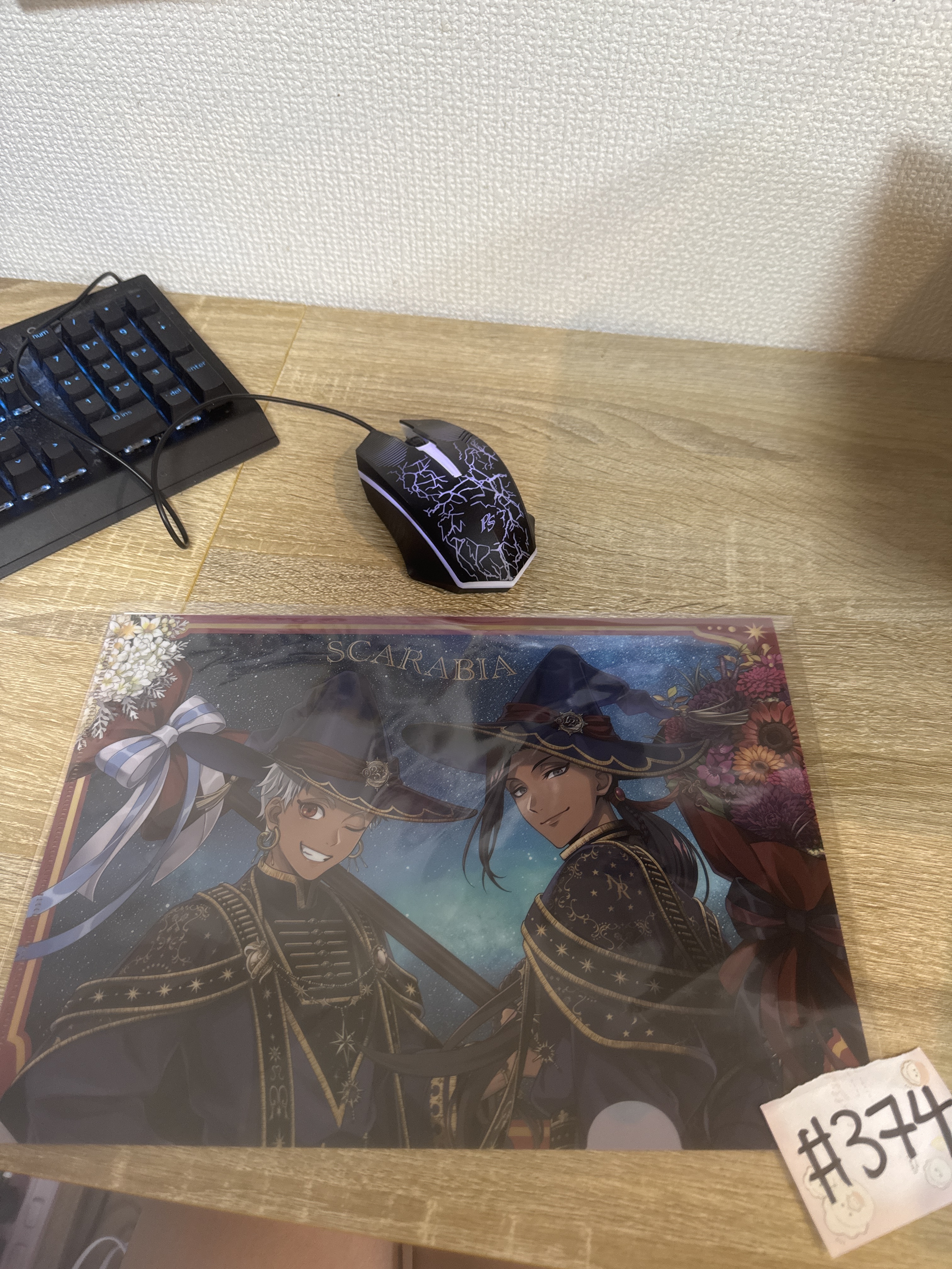 TwST  砂寮 FILE#374