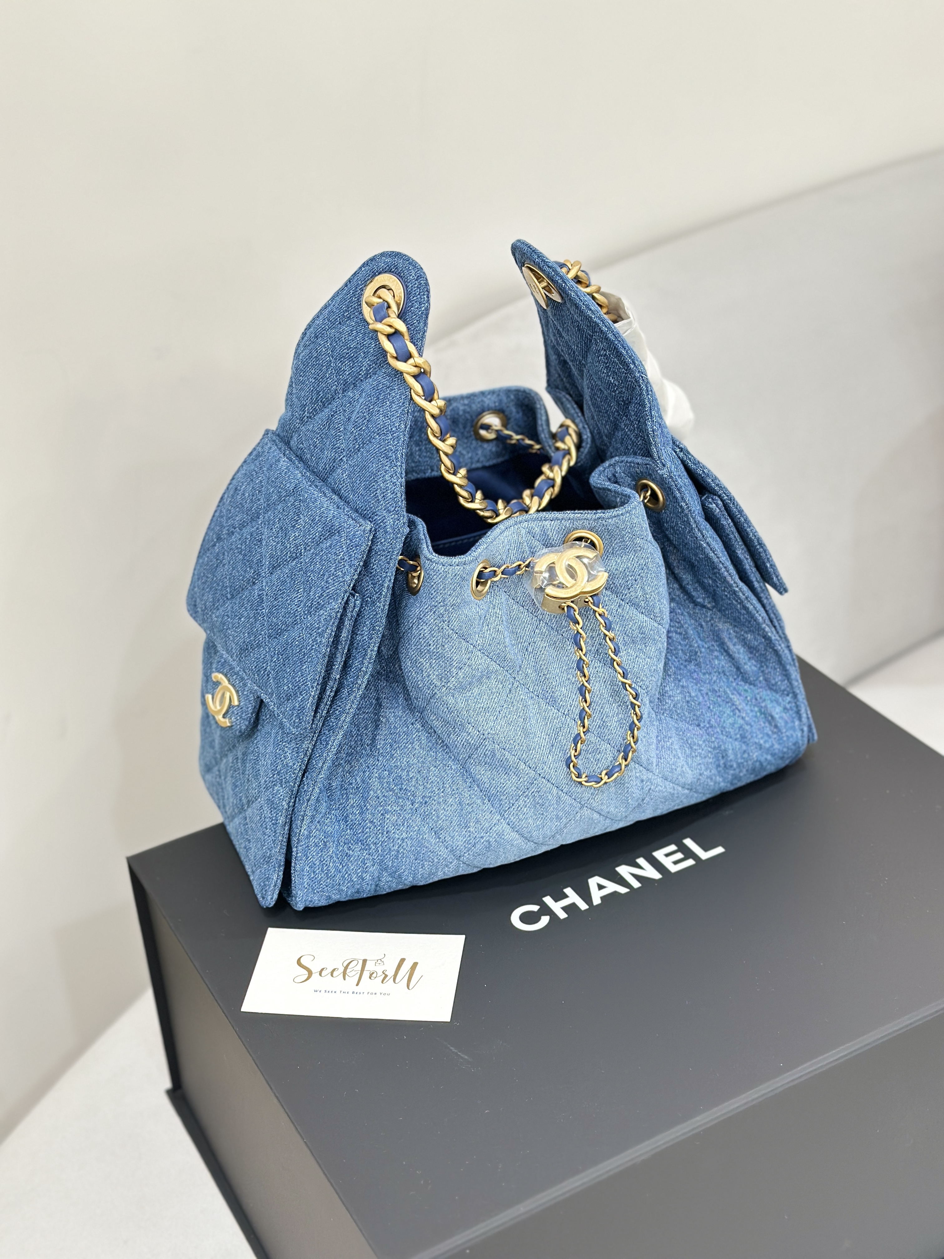 CHANEL 25 Small Bag