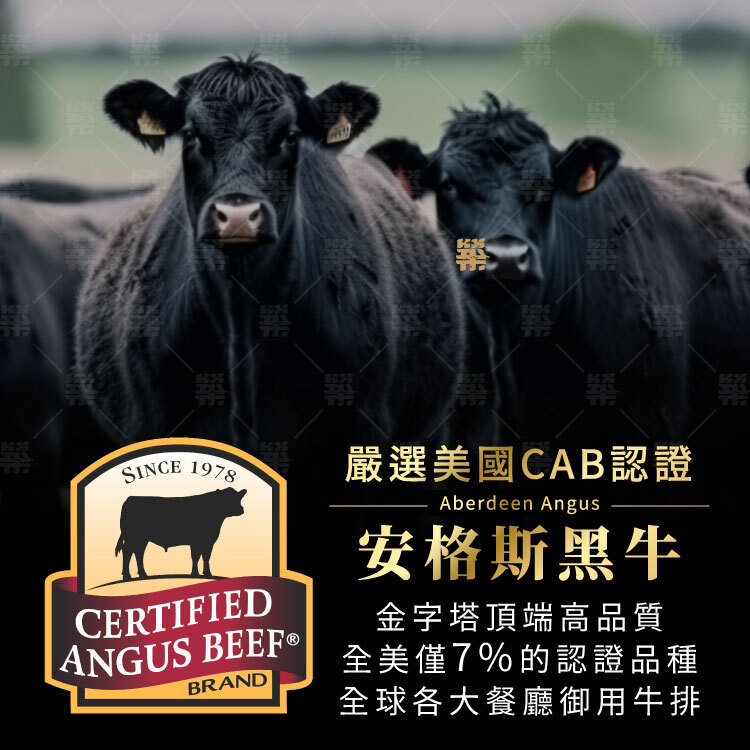 台灣熱銷的美國安格斯認證黑牛原肉進口