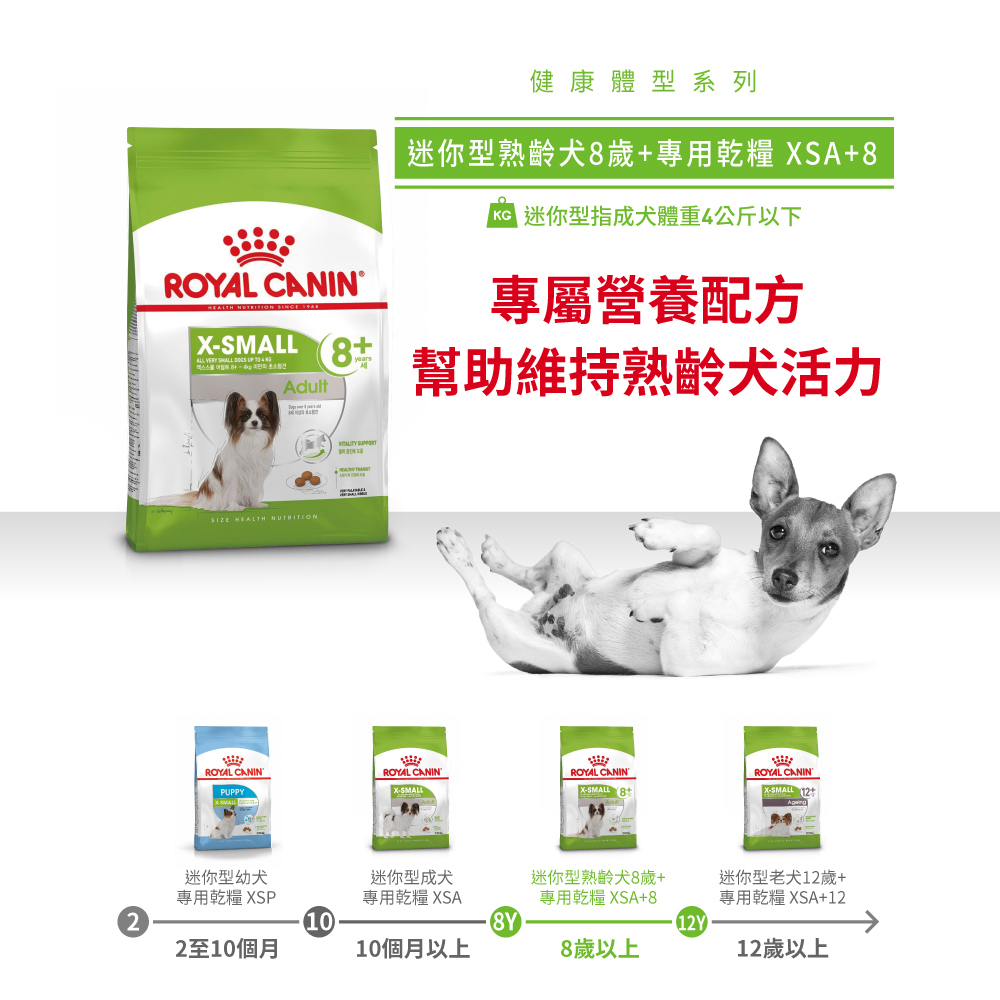 Royal Canin法國皇家 超小型熟齡犬8+歲齡XSA+8