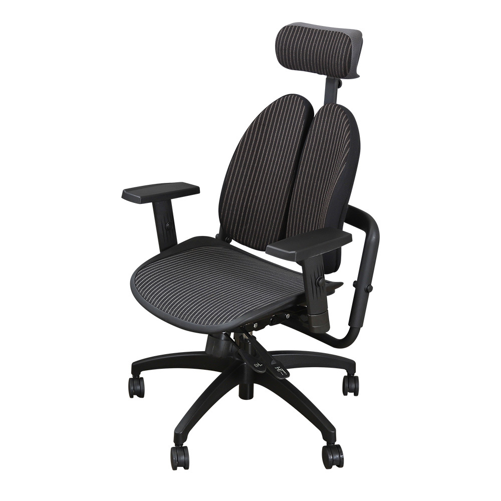 德國專利雙背護脊機能電腦椅/辦公椅/主管椅/電競椅-條紋網布款