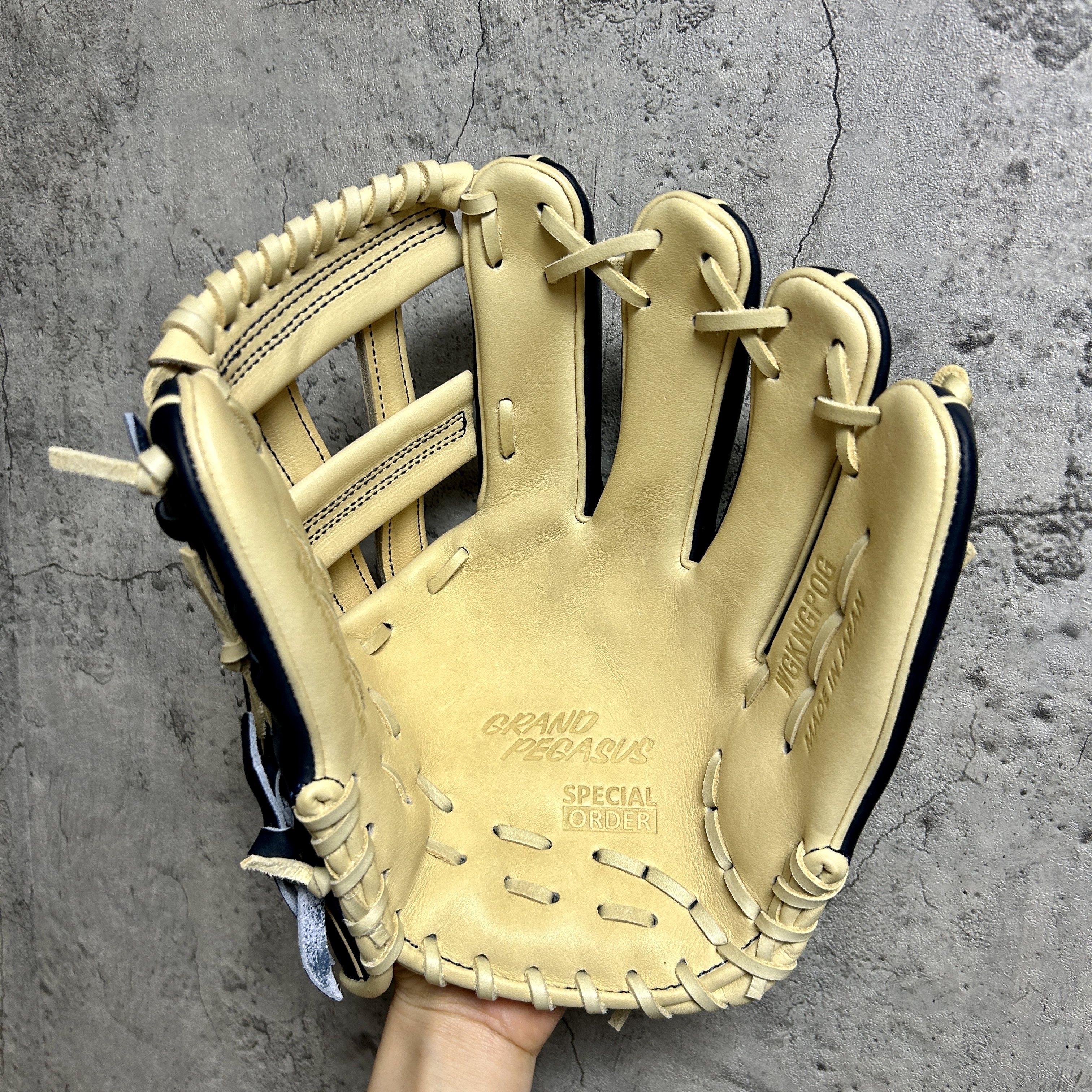 11.6吋 world-pegasus WP 軟硬兼用 大內野 店舗別注 WGKGP13 M2509-023