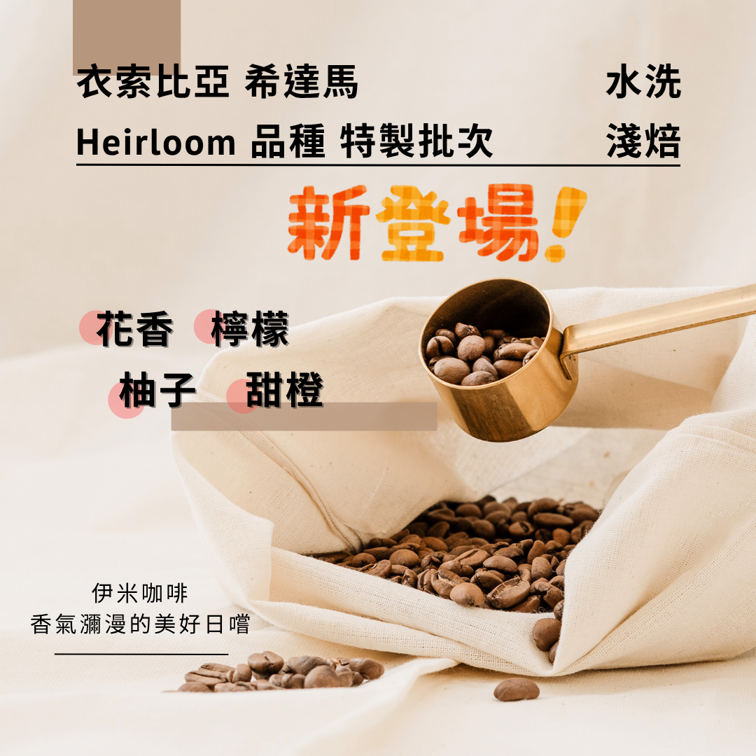 衣索比亞 希達馬  Heirloom 品種 水洗 特製批次 /半磅