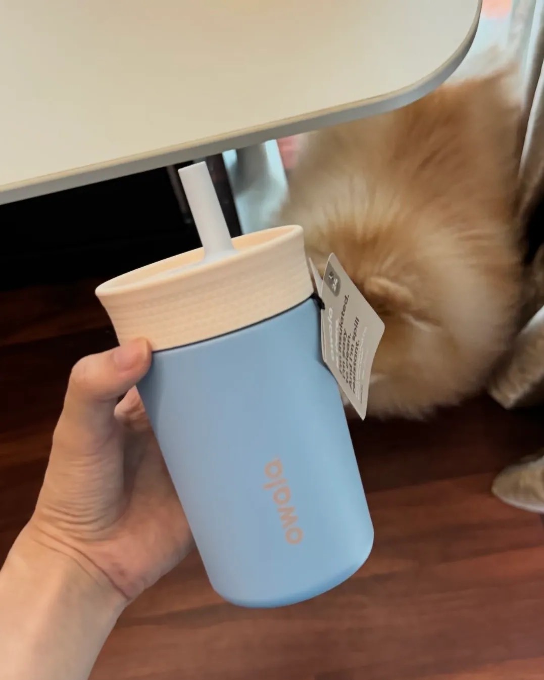 OWALA KIDS' TUMBLER 不繡鋼 兒童 吸管杯 保溫杯 12OZ 355ML 七色