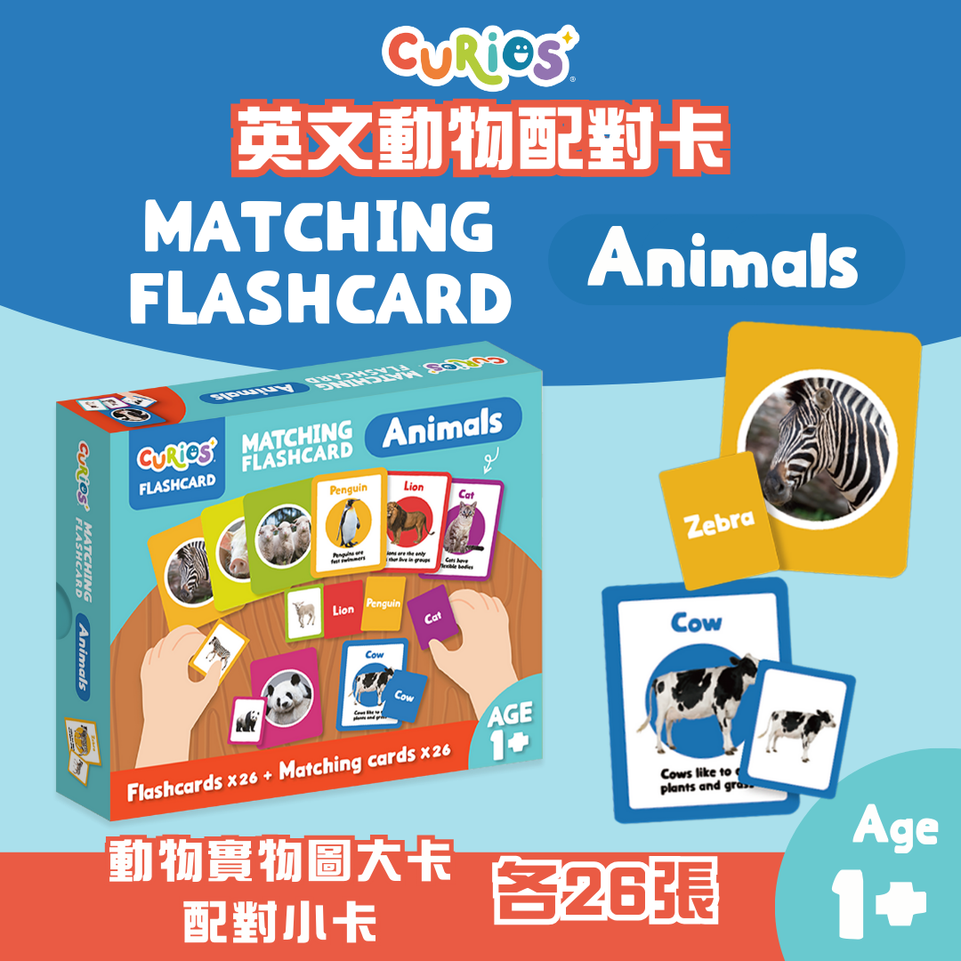 【N面試必備!】學前班面試神隊友套裝