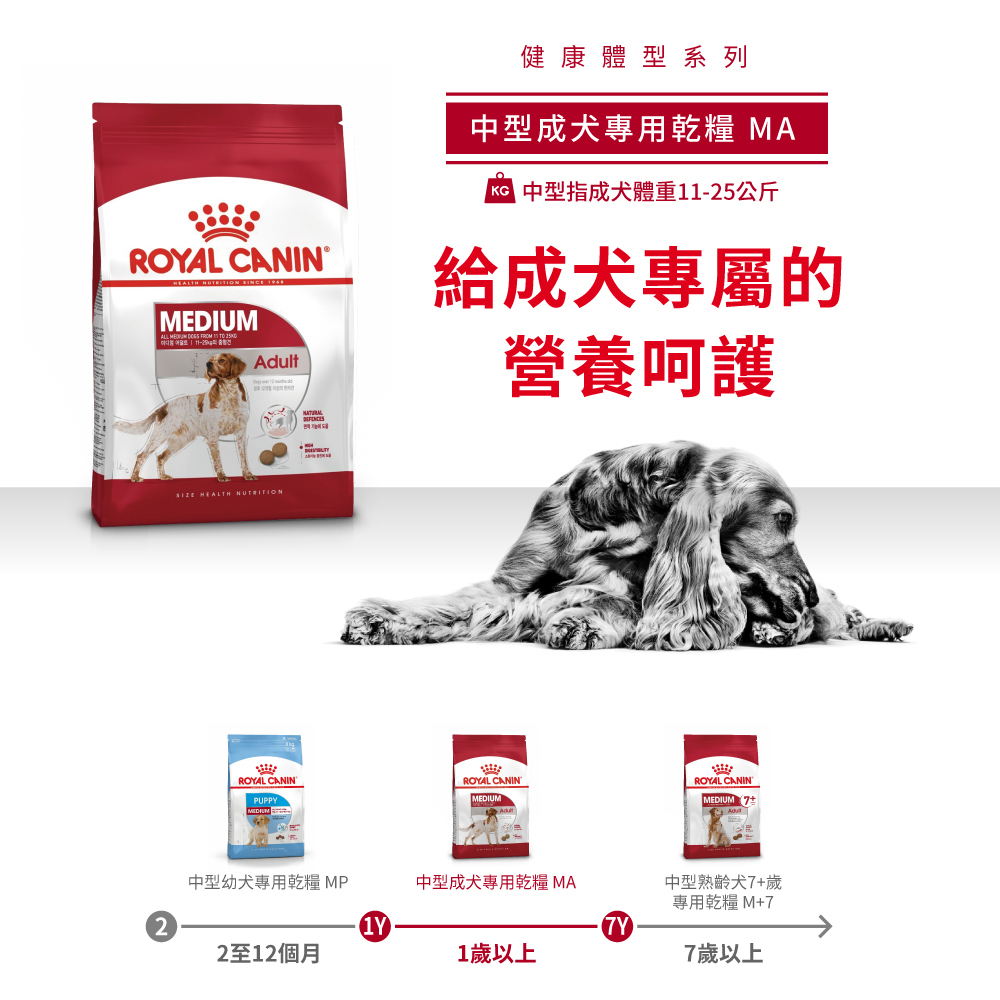 Royal Canin法國皇家 皇家中型成犬MA
