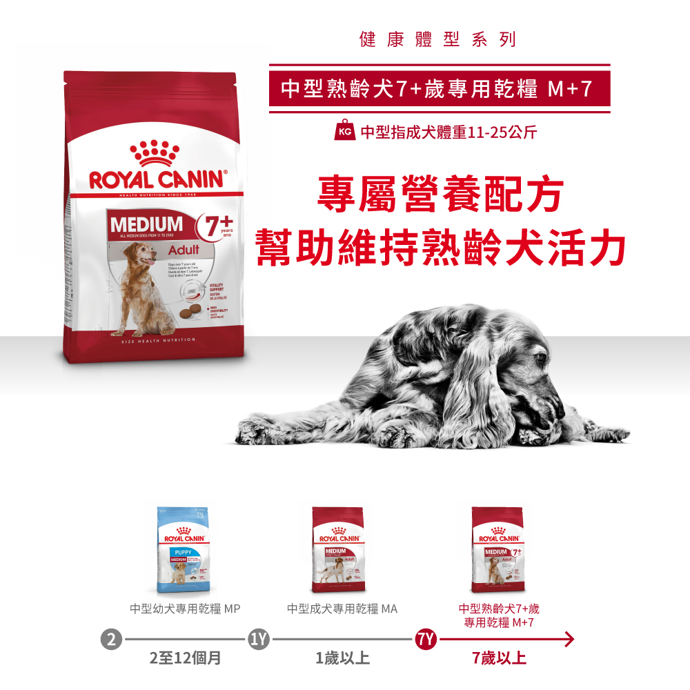 Royal Canin法國皇家 皇家中型熟齡犬7+歲齡M+7